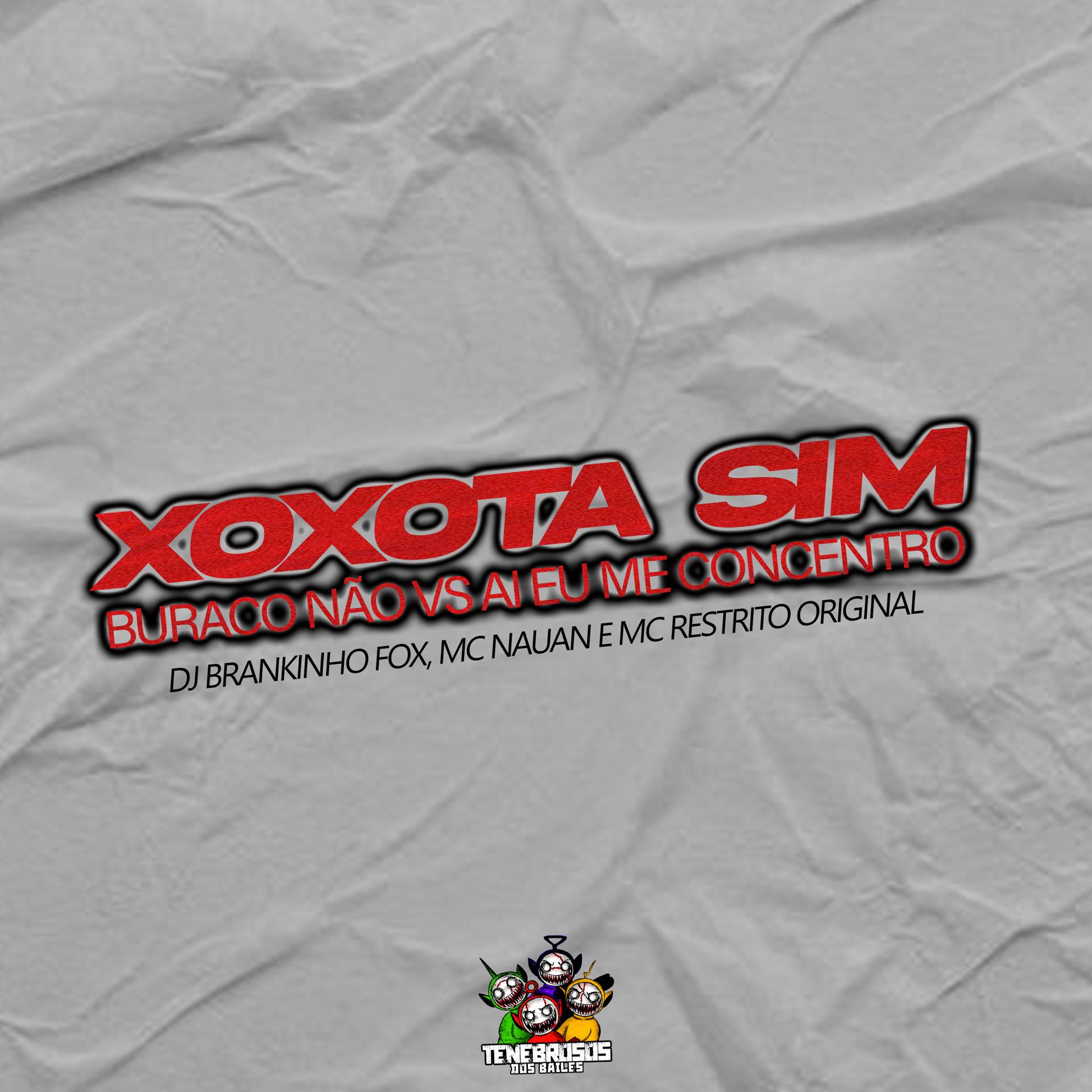 Постер альбома Xoxota Sim, Buraco Não Vs Ai Eu Me Concentro