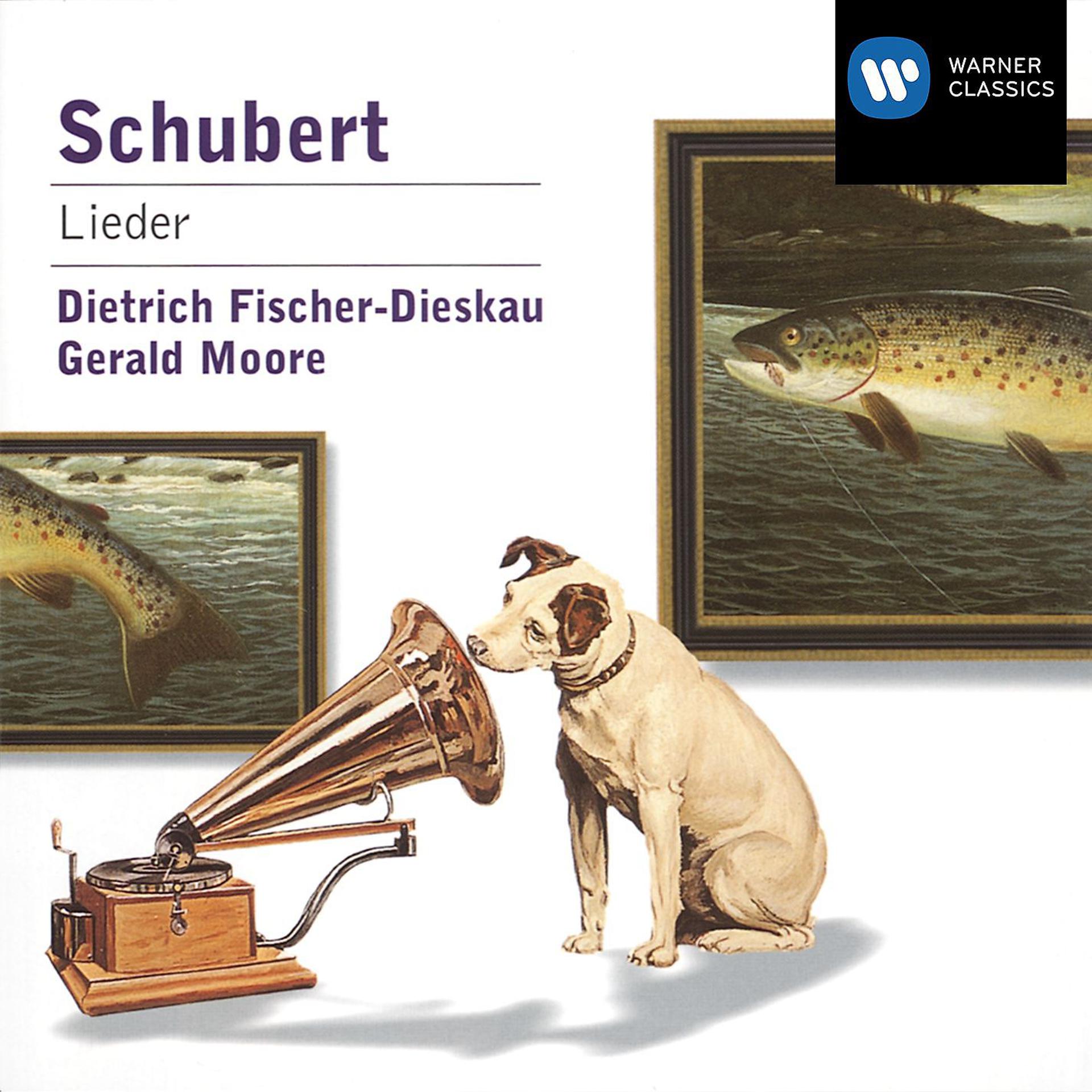Постер альбома Schubert: 21 Lieder