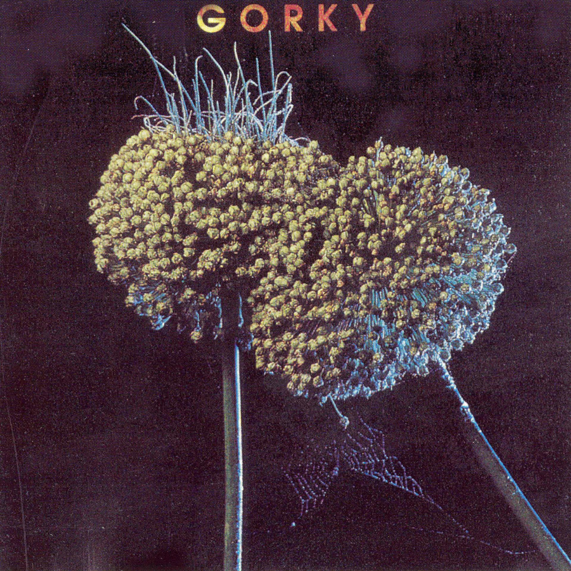 Постер альбома Gorky