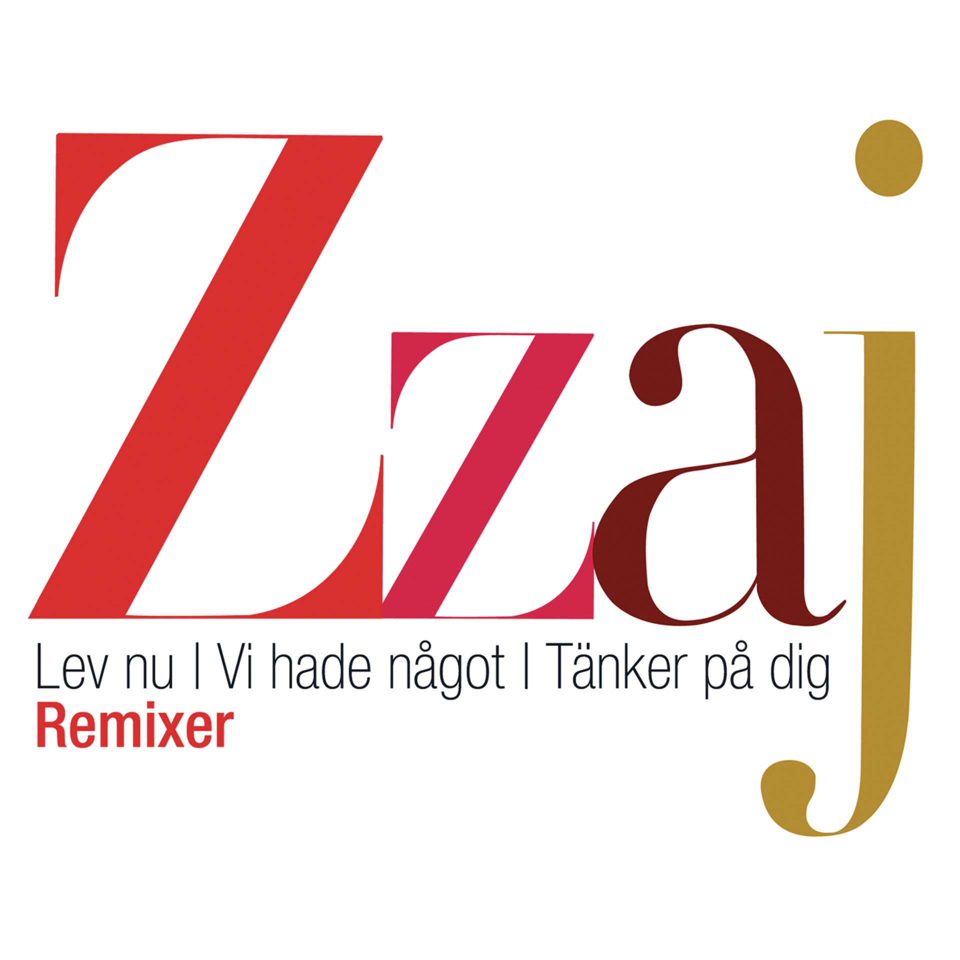 Постер альбома Remixer