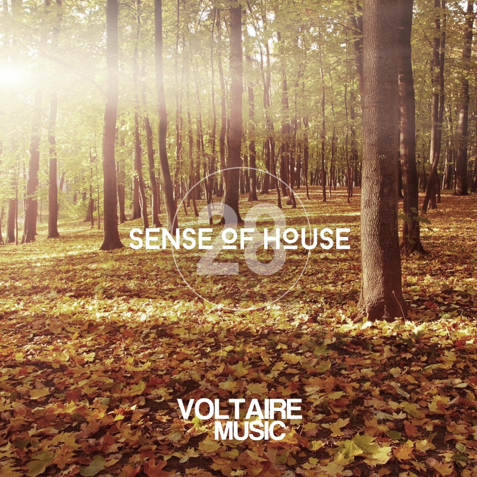 Постер альбома Sense of House, Vol. 28