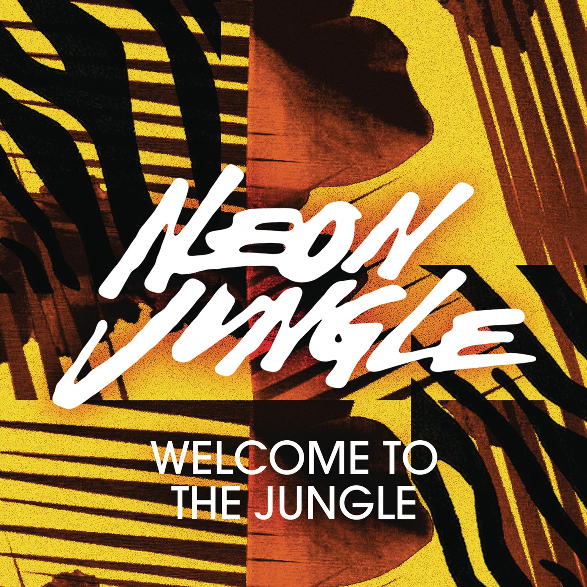 Постер альбома Welcome to the Jungle (Remixes)