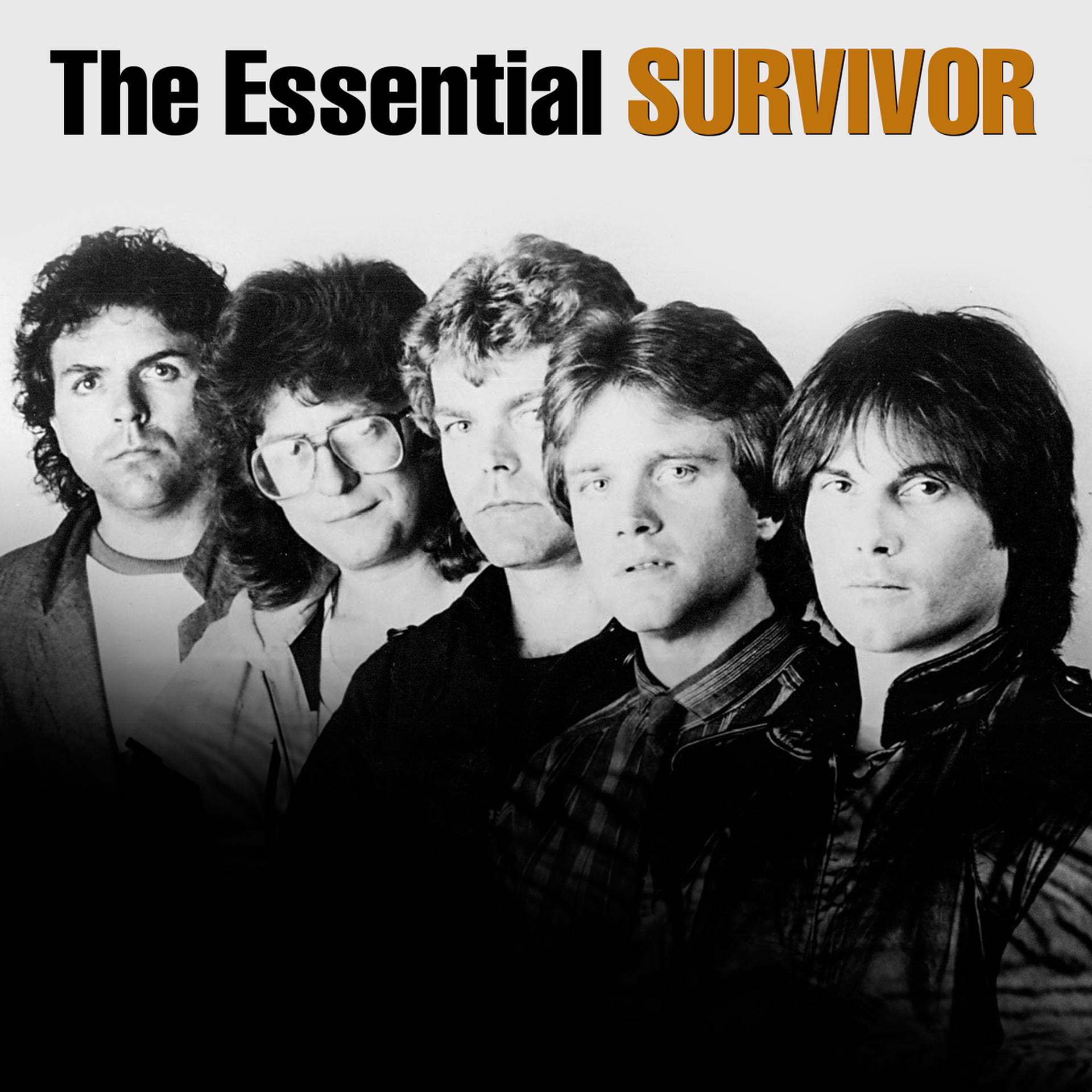 Постер альбома The Essential Survivor