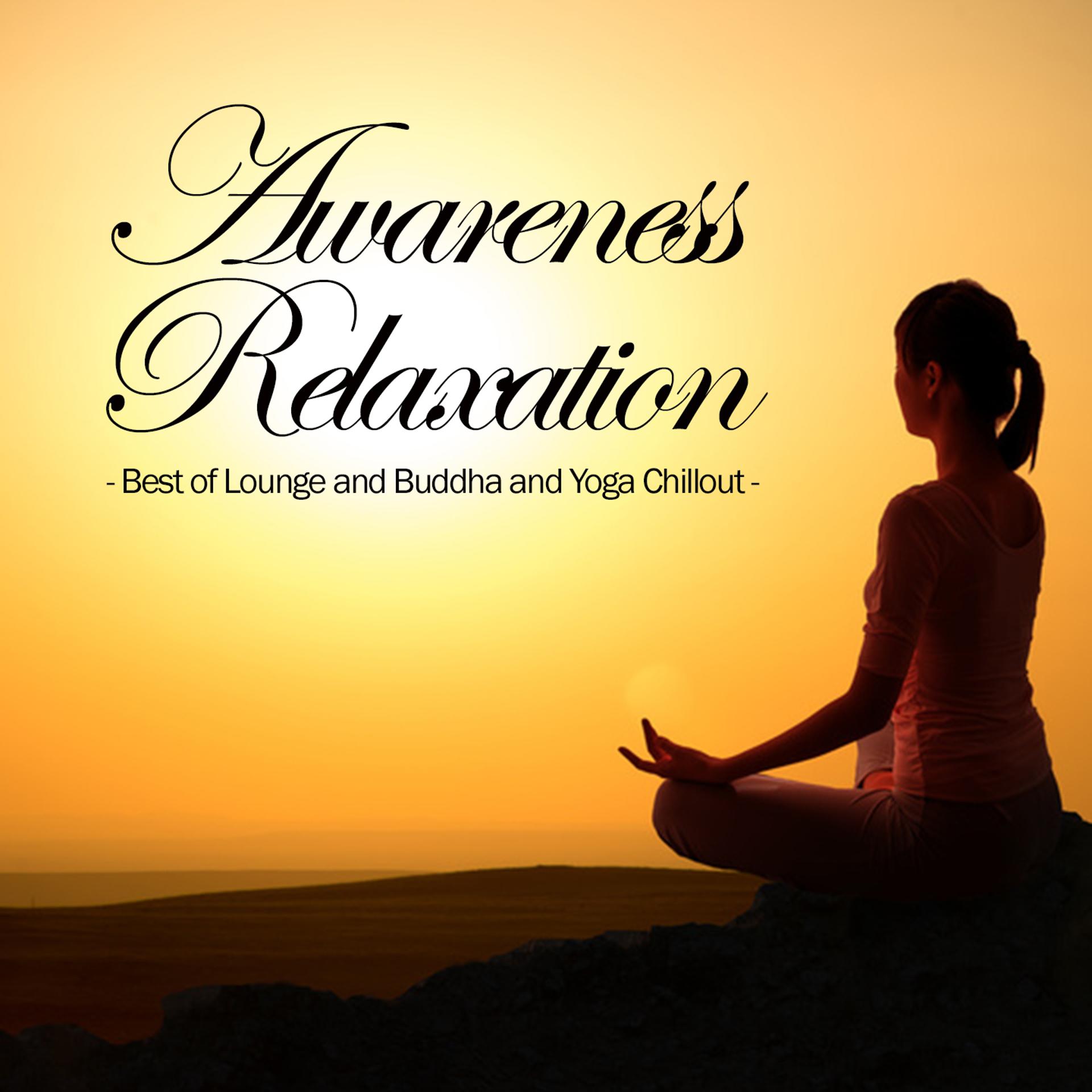 Постер альбома Awareness Relaxation