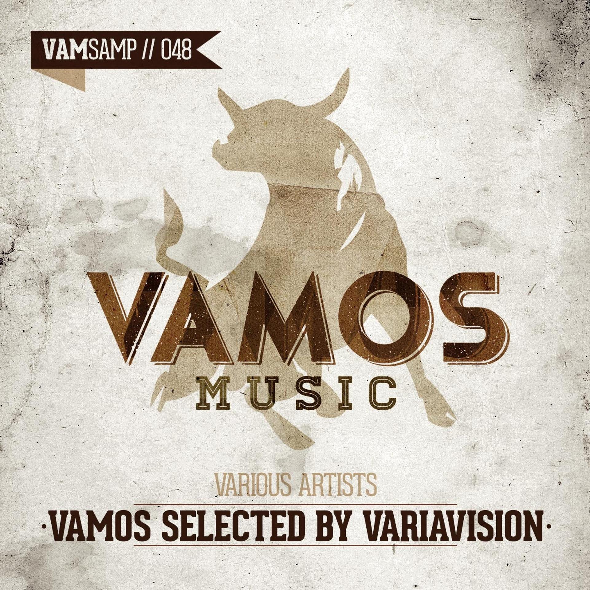 Постер альбома Vamos Selected by Variavision