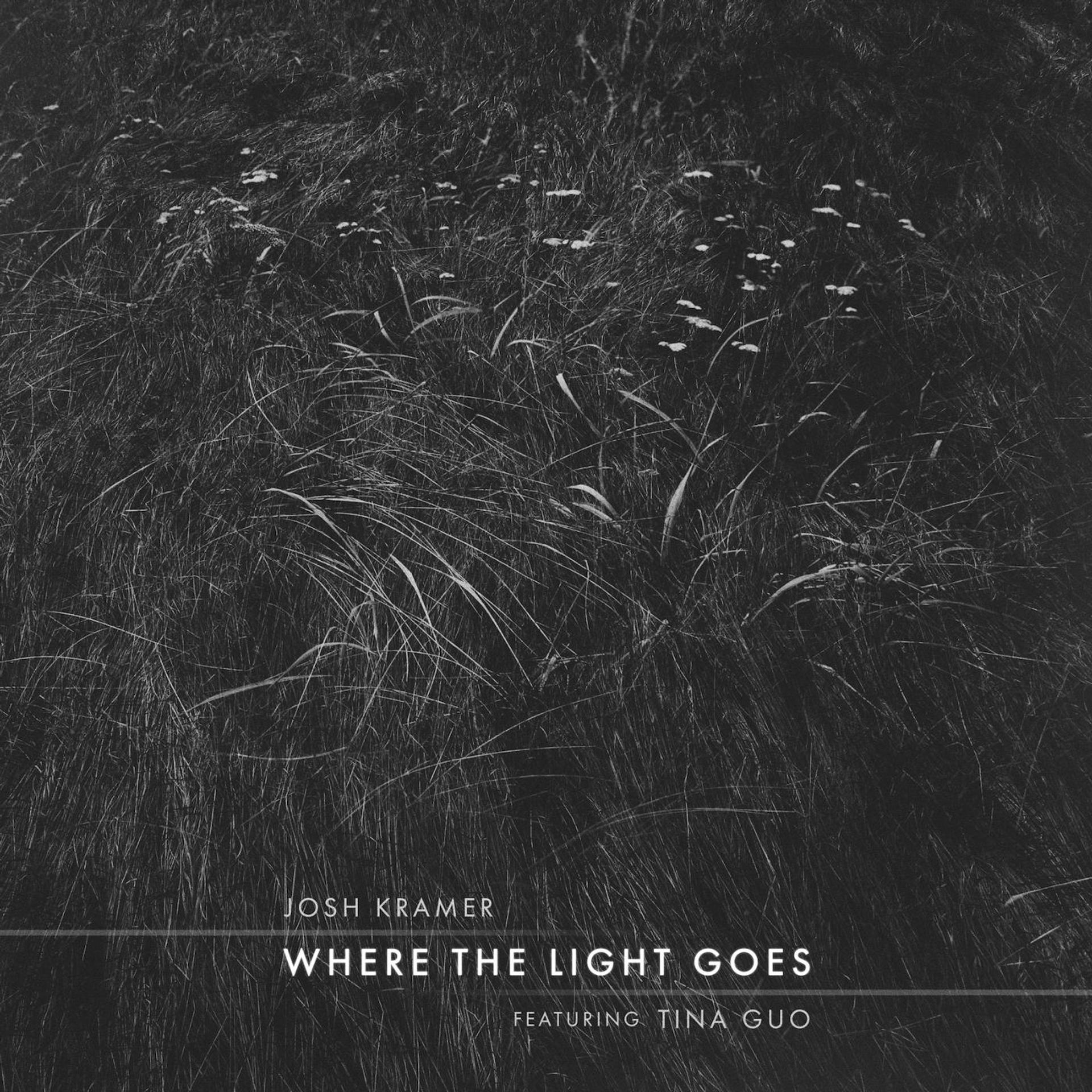 Постер альбома Where the Light Goes