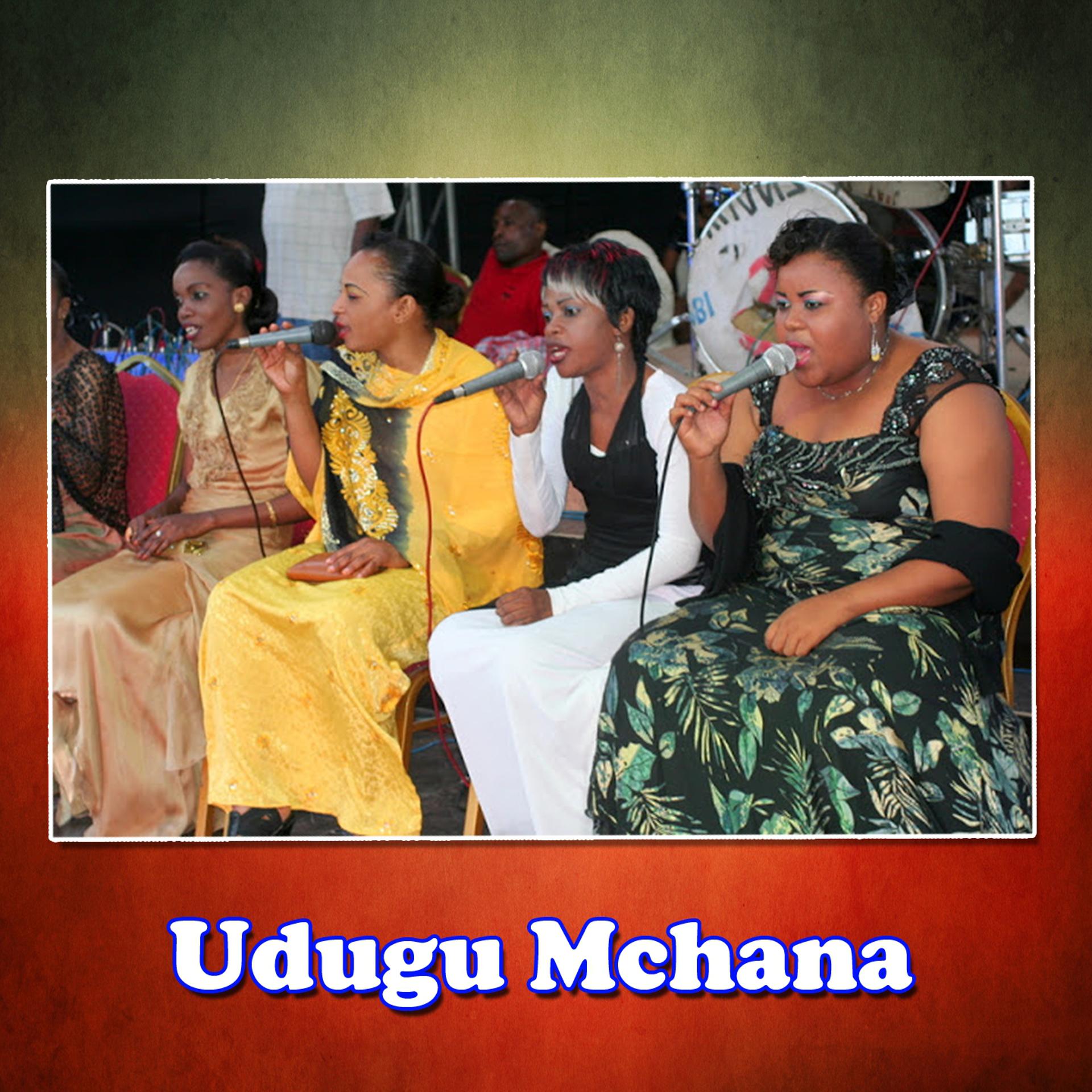 Постер альбома Udugu Mchana