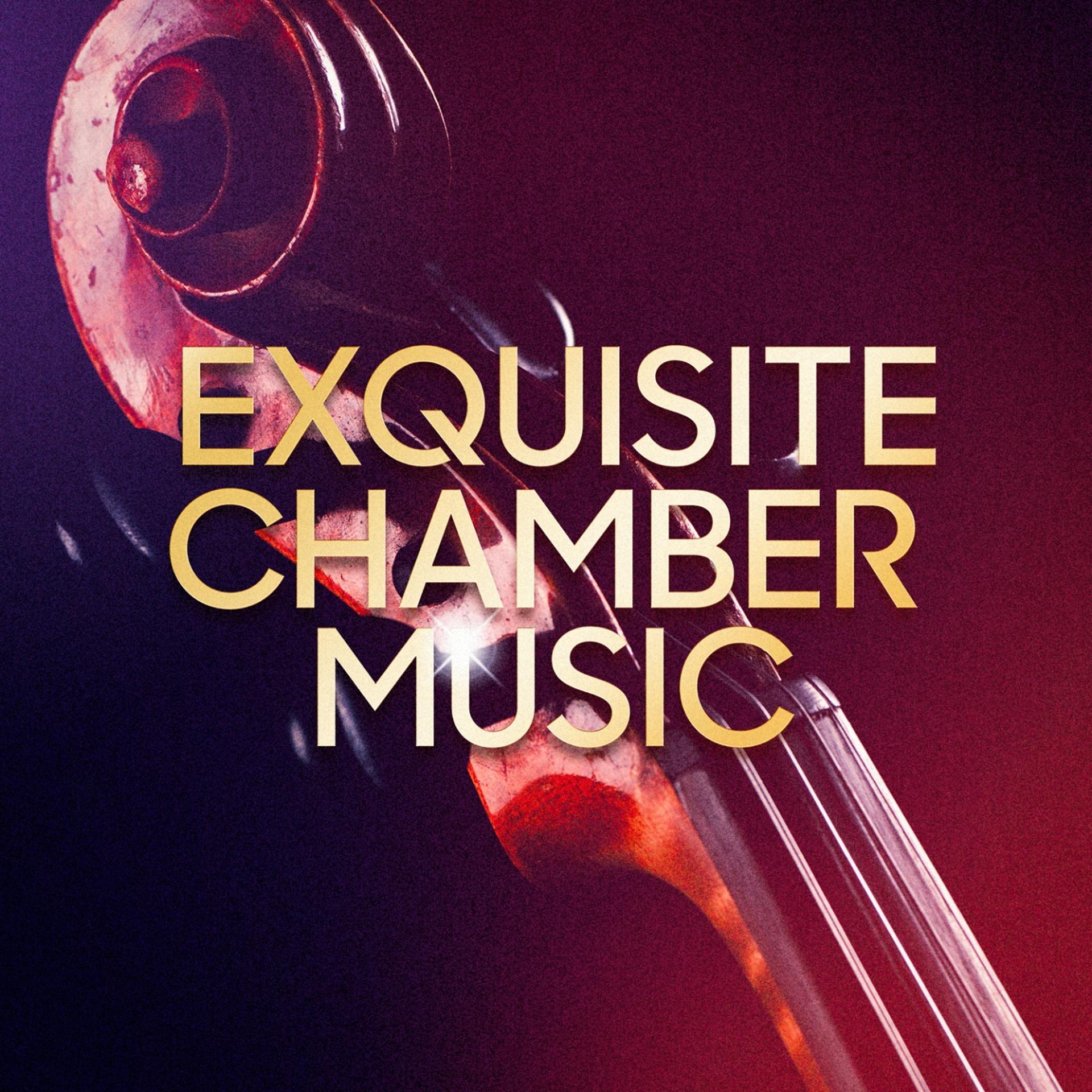 Постер альбома Exquisite Chamber Music