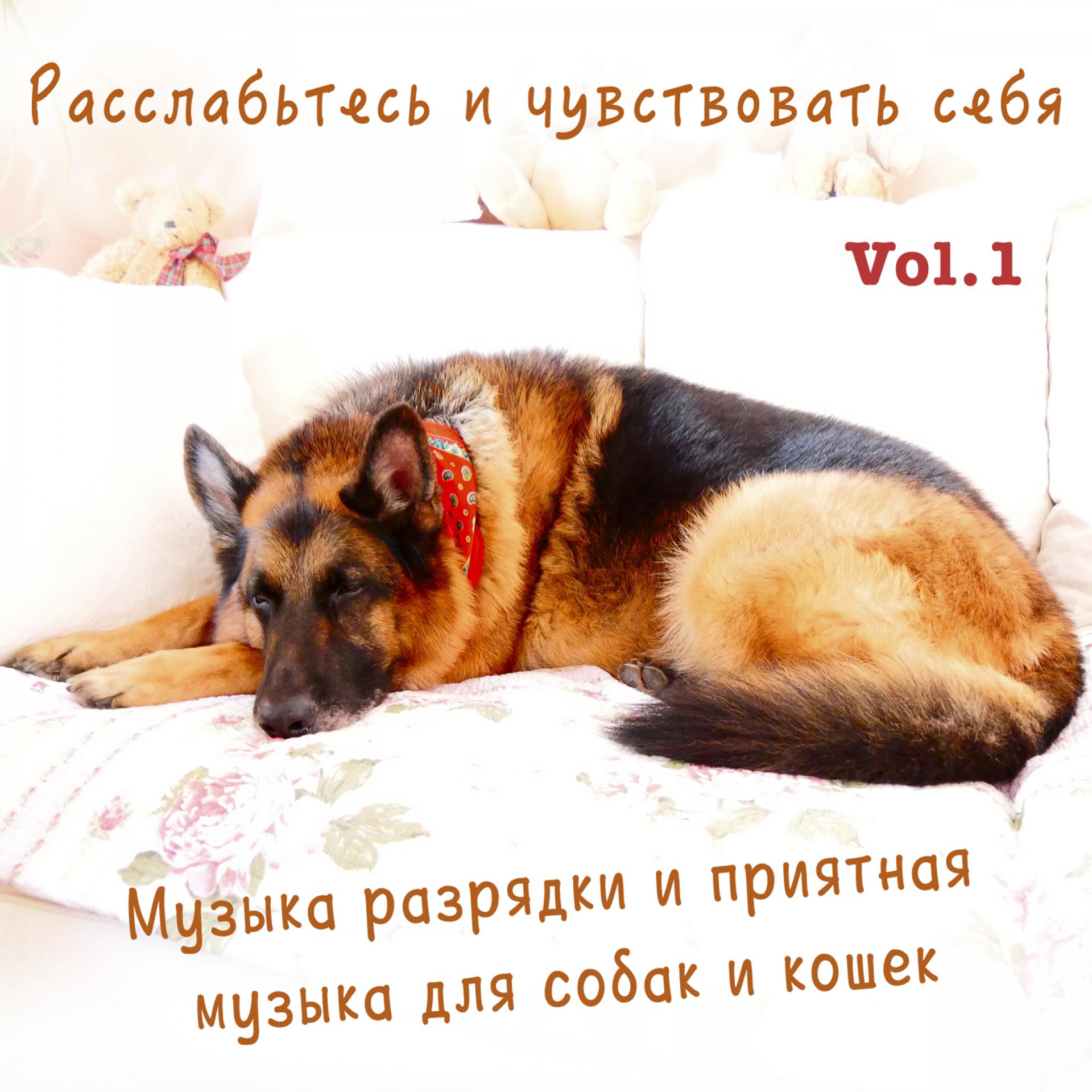 Постер альбома Расслабьтесь и чувствовать себя, Vol. 1 (Музыка разрядки и приятная музыка для собак и кошек)