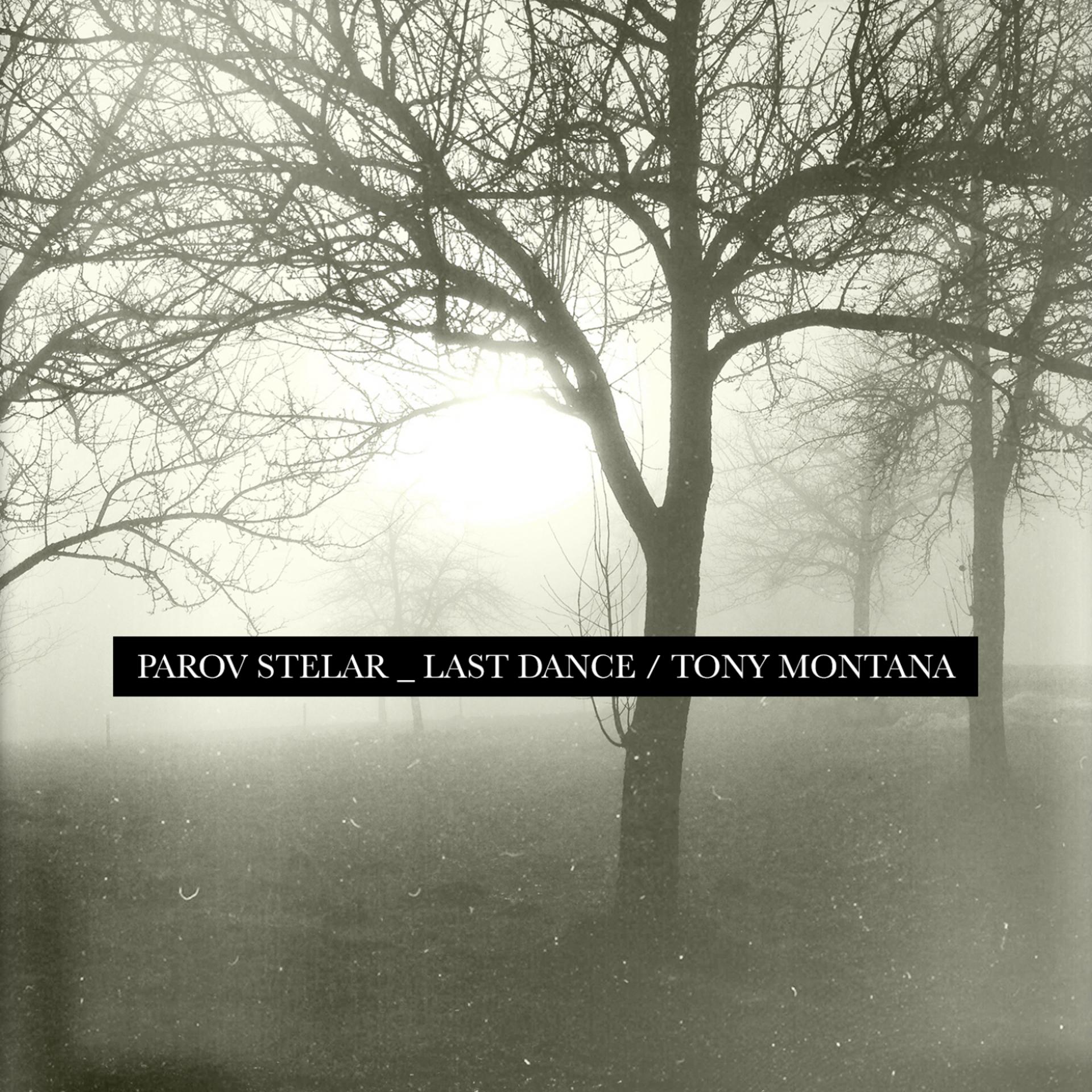 Постер альбома The Last Dance / Tony Montana