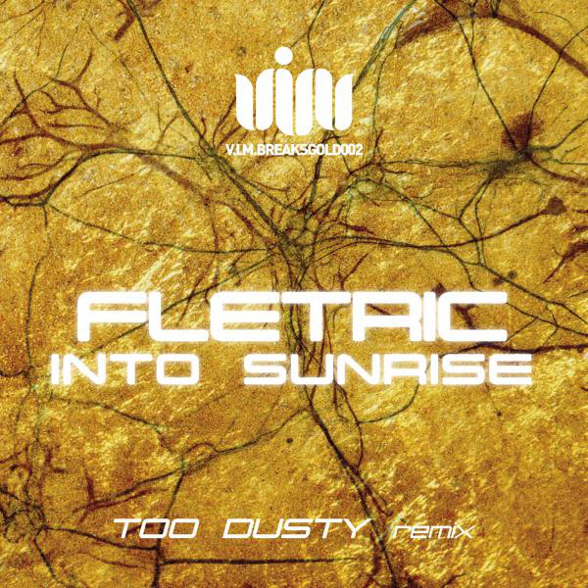 Постер альбома Into Sunrise (Too Dusty Remix)