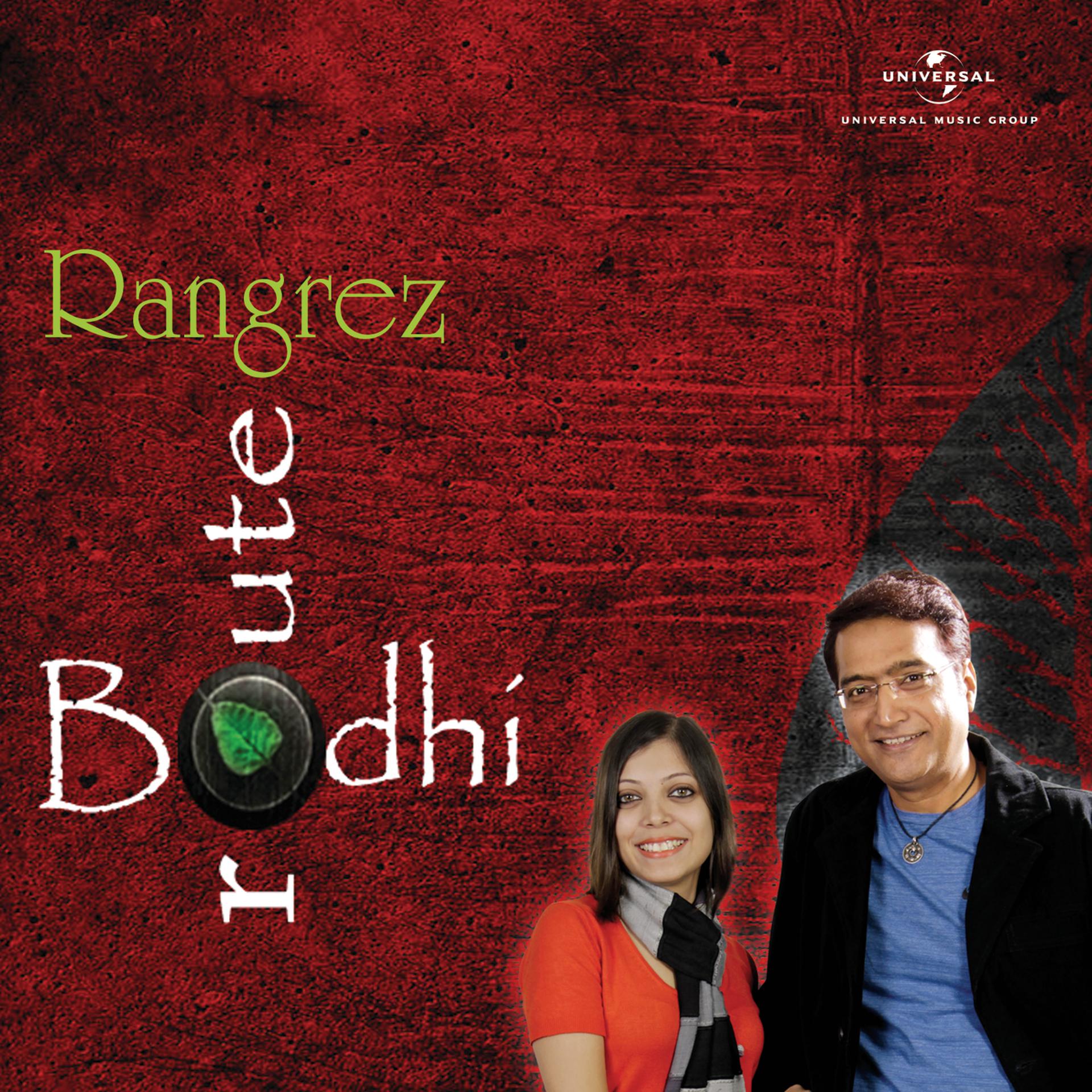 Постер альбома Rangrez
