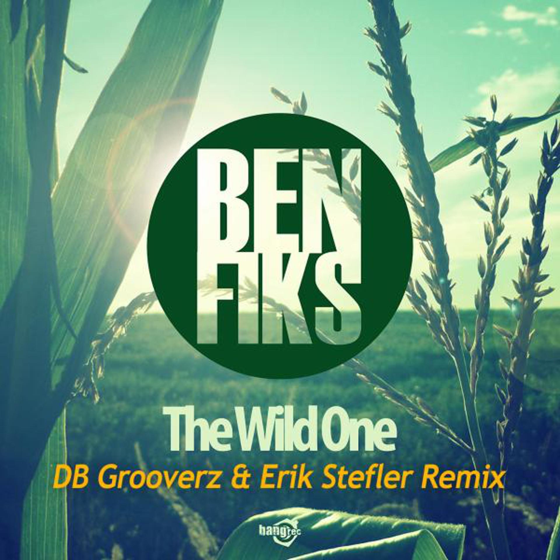 Постер альбома The Wild One (DB Grooverz & Erik Stefler Remix)