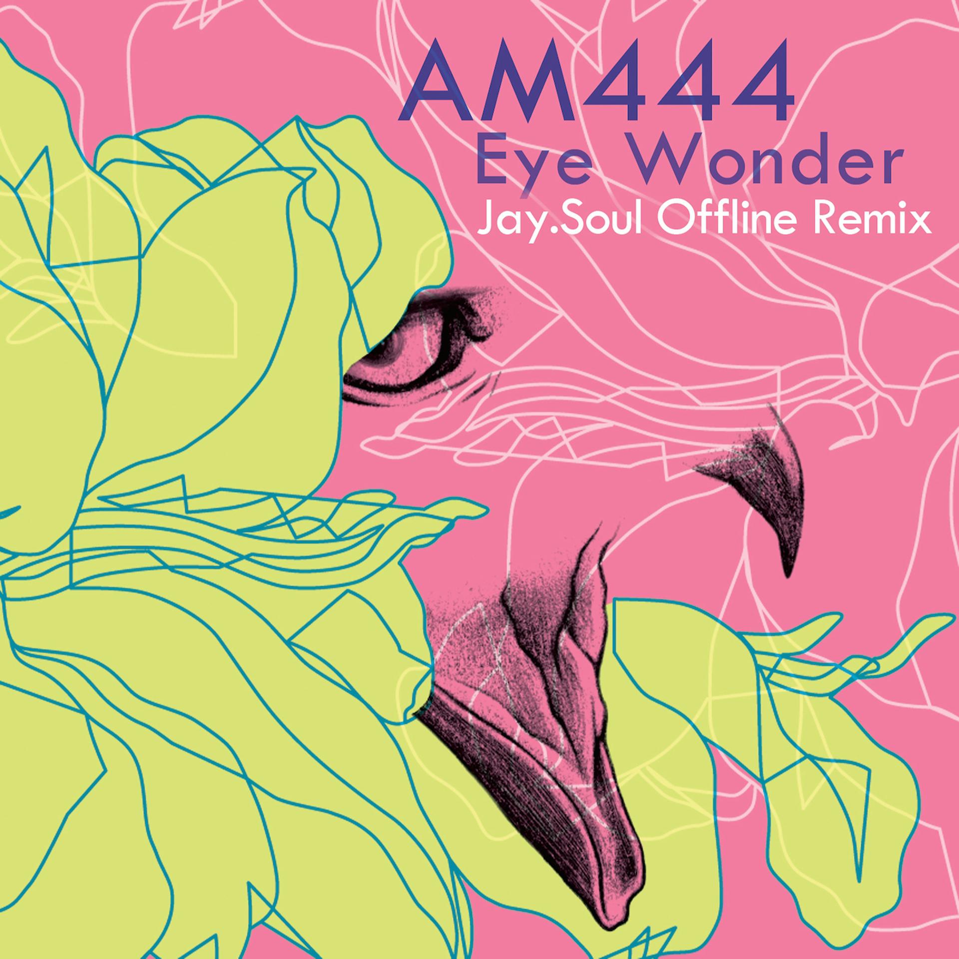 Постер альбома Eye Wonder (Jay.Soul Offline Remix)