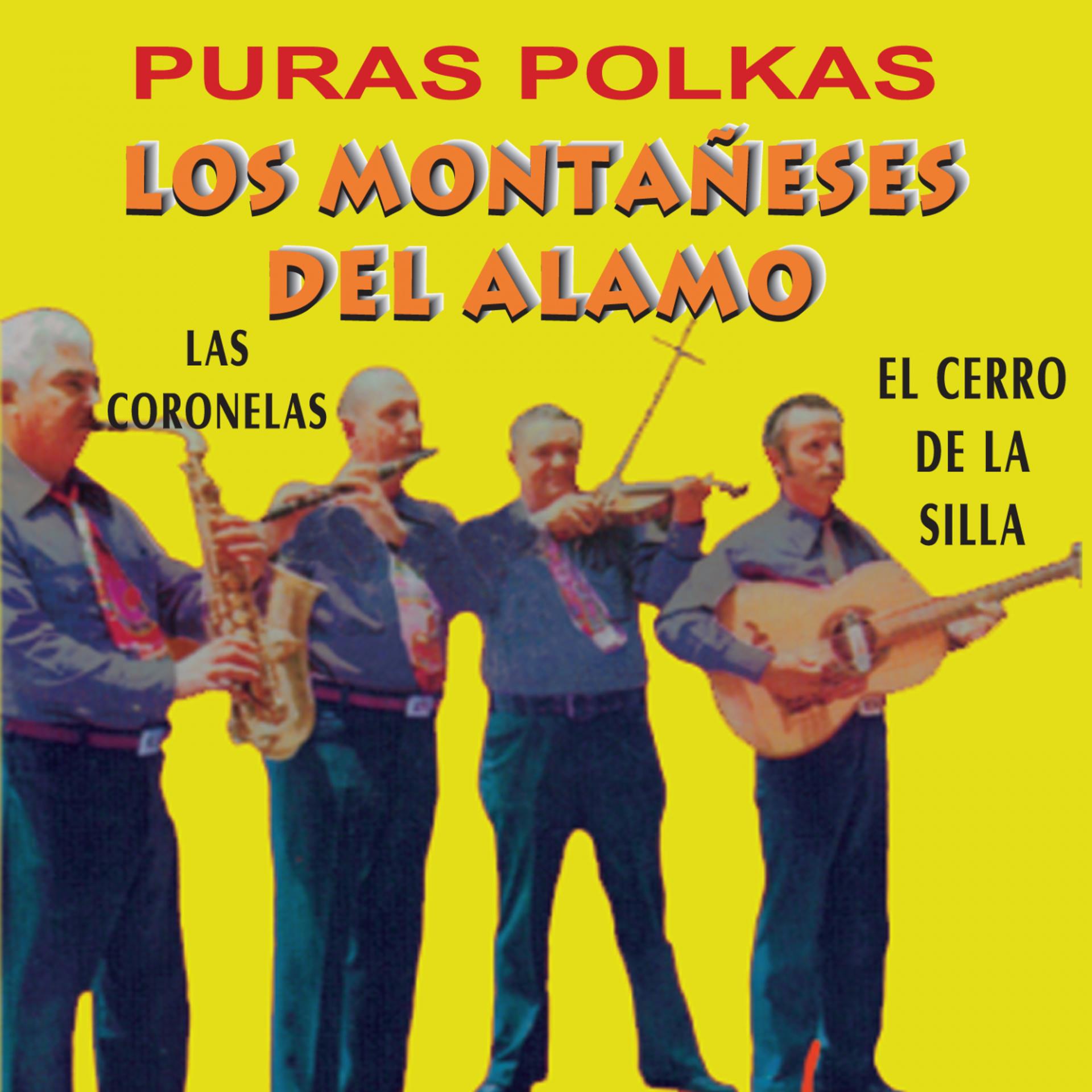 Постер альбома Puras Polkas