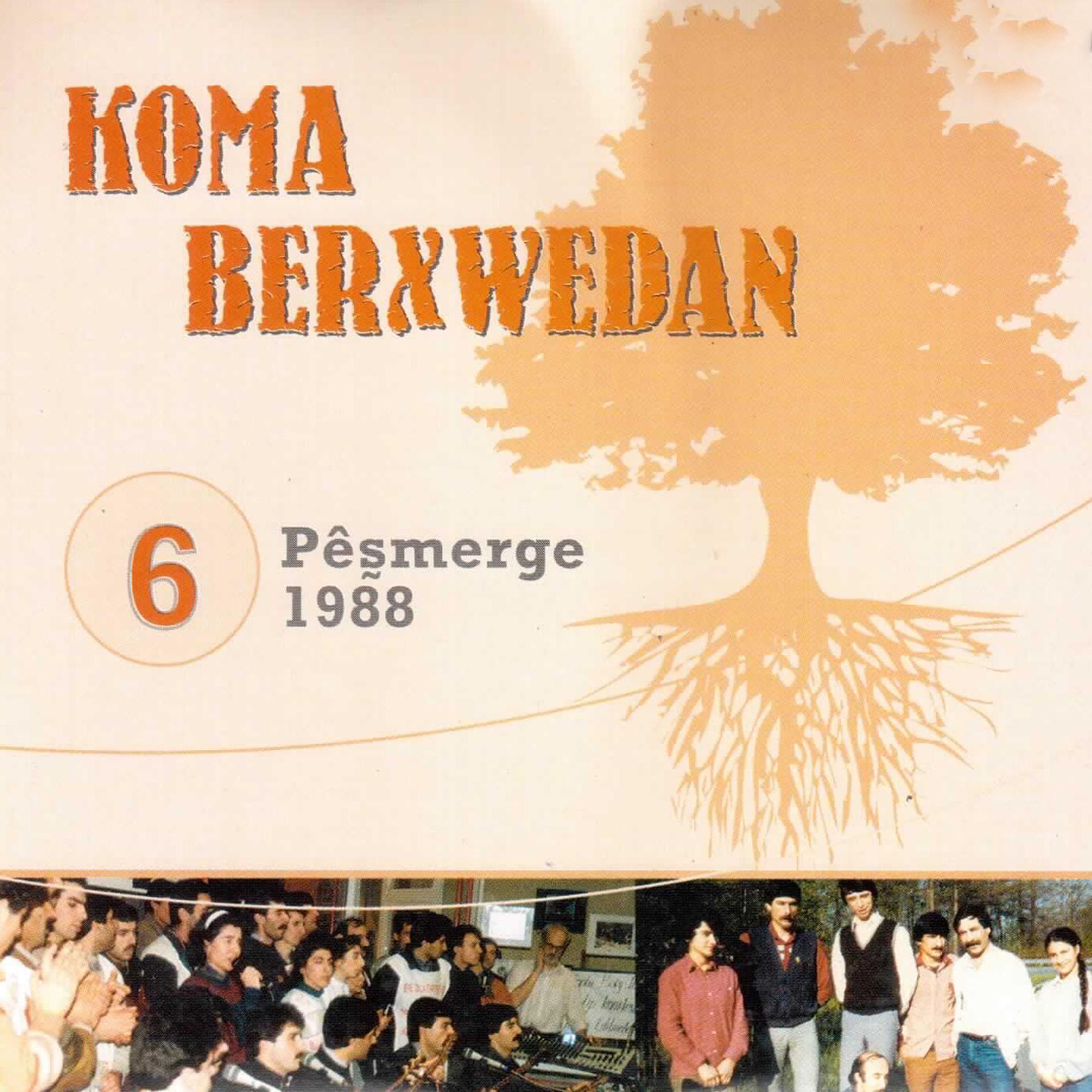 Постер альбома Pêşmerge, Vol. 6