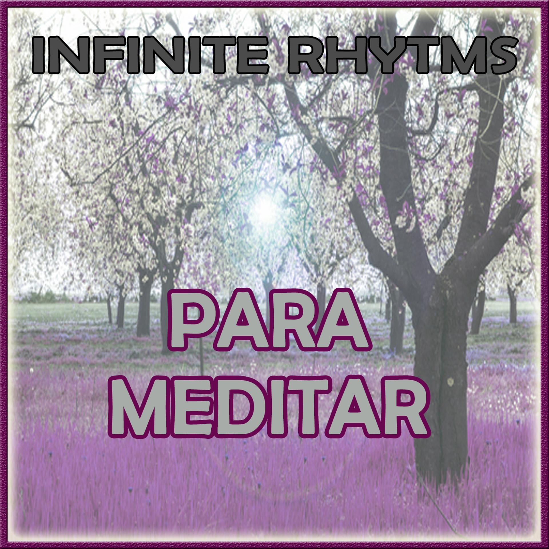 Постер альбома Infinite Rhythms, Para Meditar
