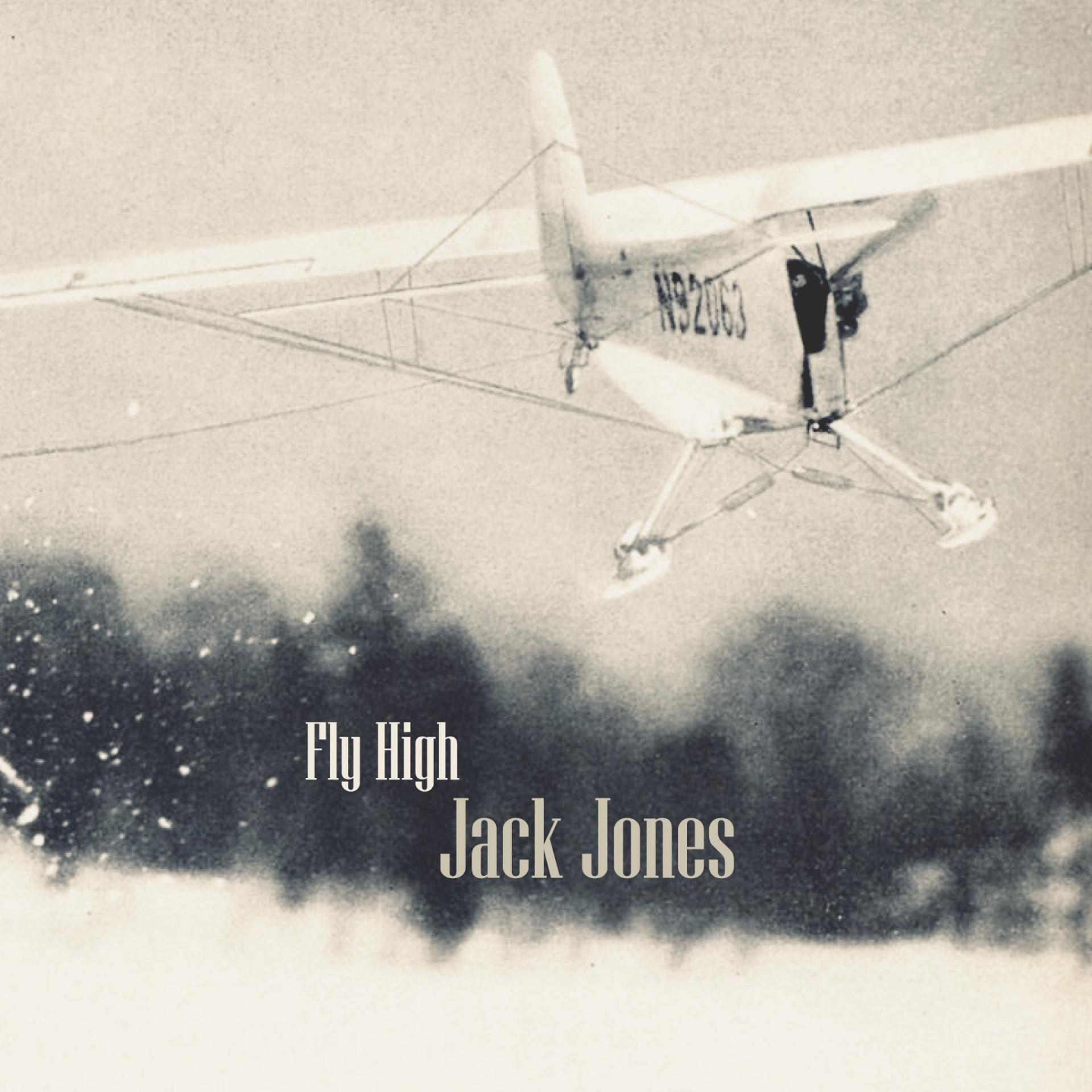 Постер альбома Fly High