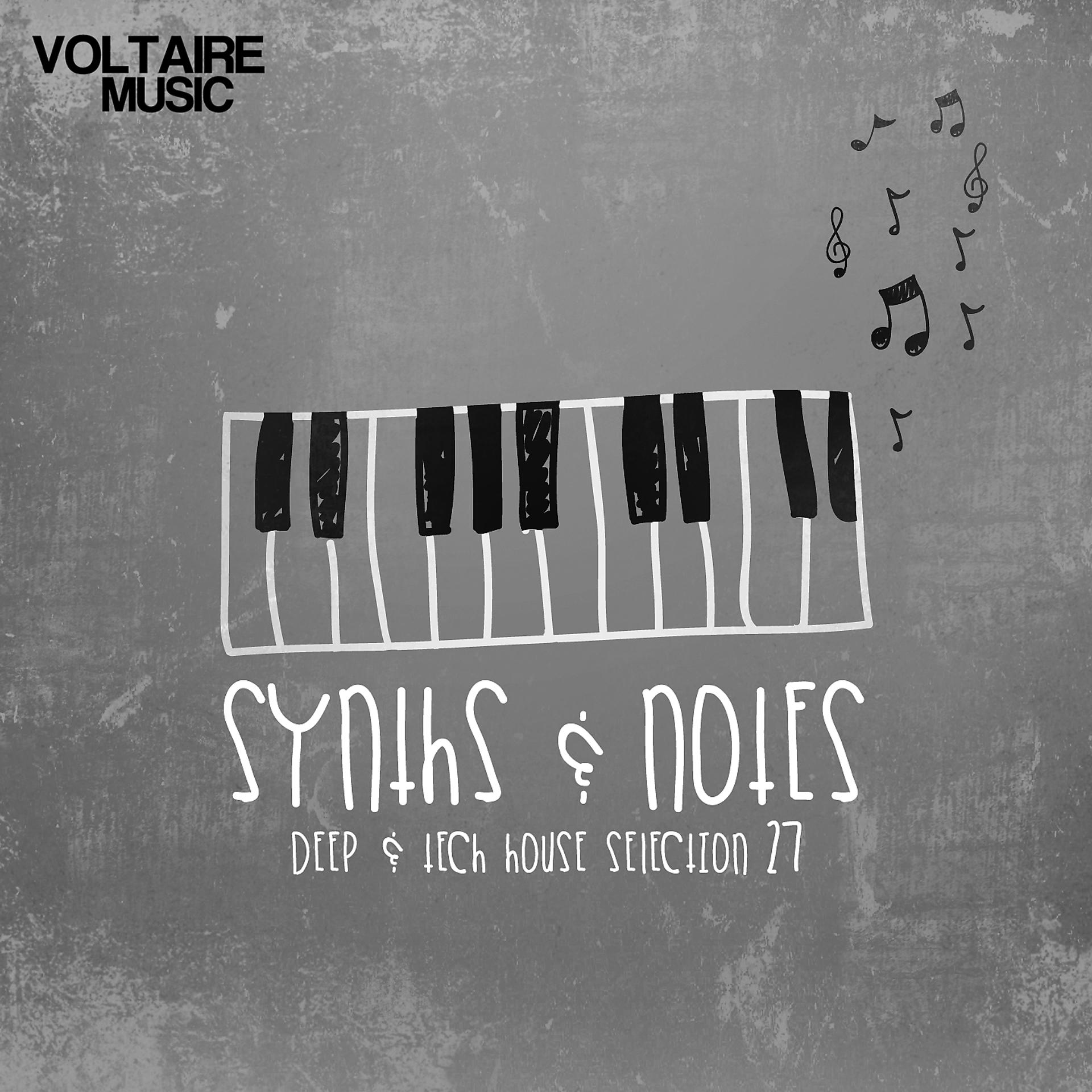Постер альбома Synths and Notes 27