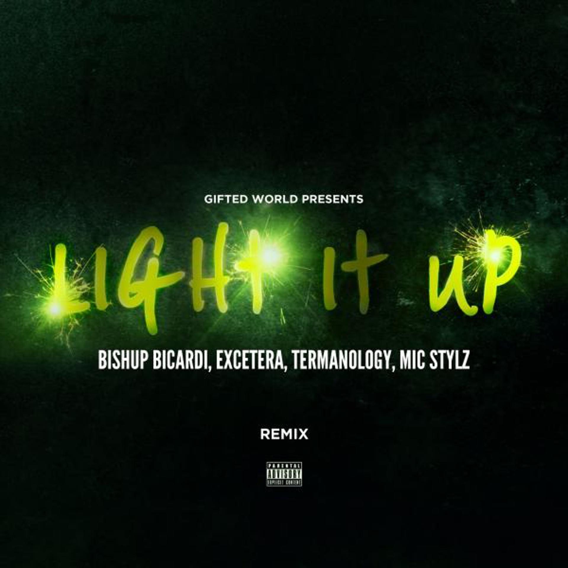 Постер альбома Light It Up Remix