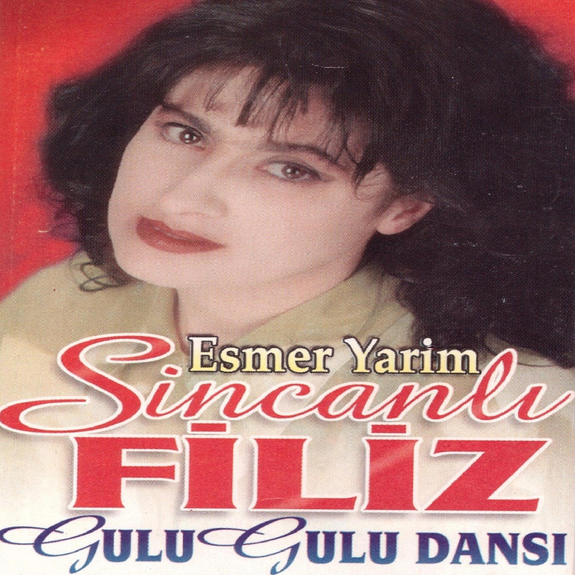 Постер альбома Gulu Gulu Dansı / Esmer Yarim