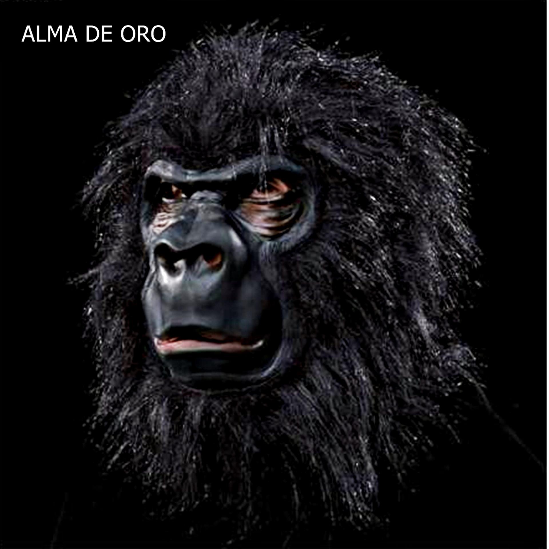 Постер альбома Alma de Oro