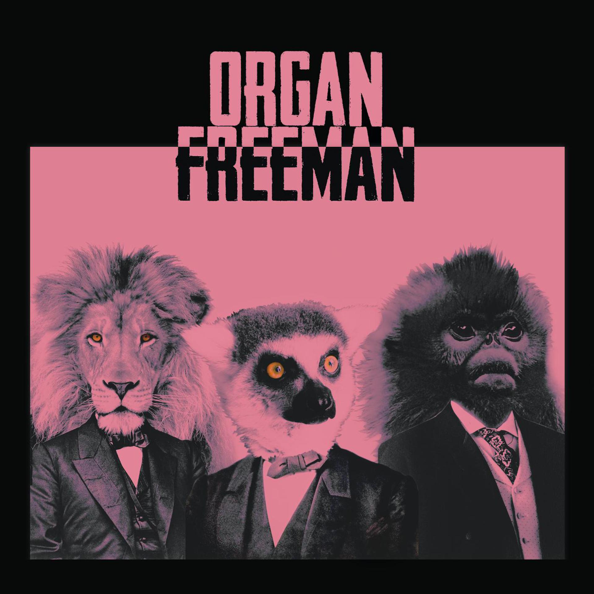 Постер альбома Organ Freeman