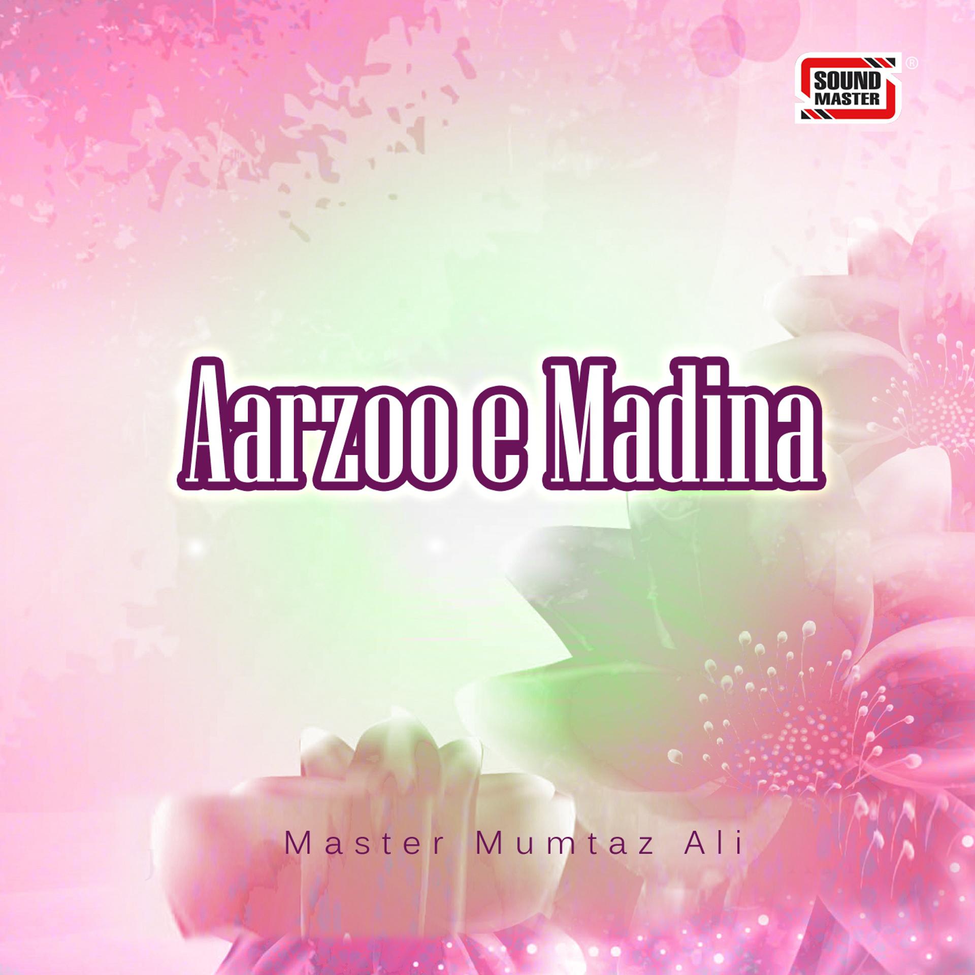 Постер альбома Aarzoo-e-Madina