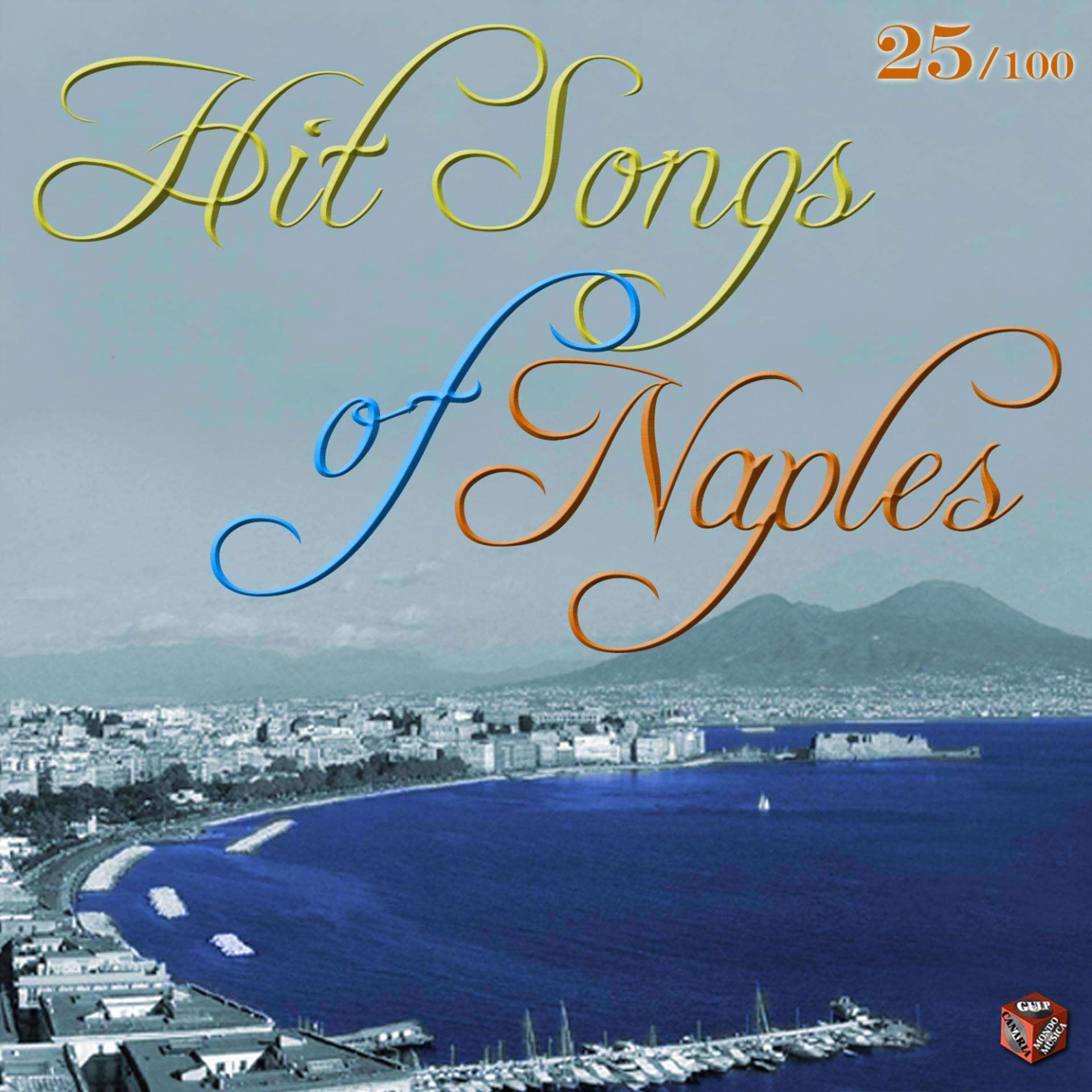 Постер альбома Hit Songs of Naples, Vol. 25