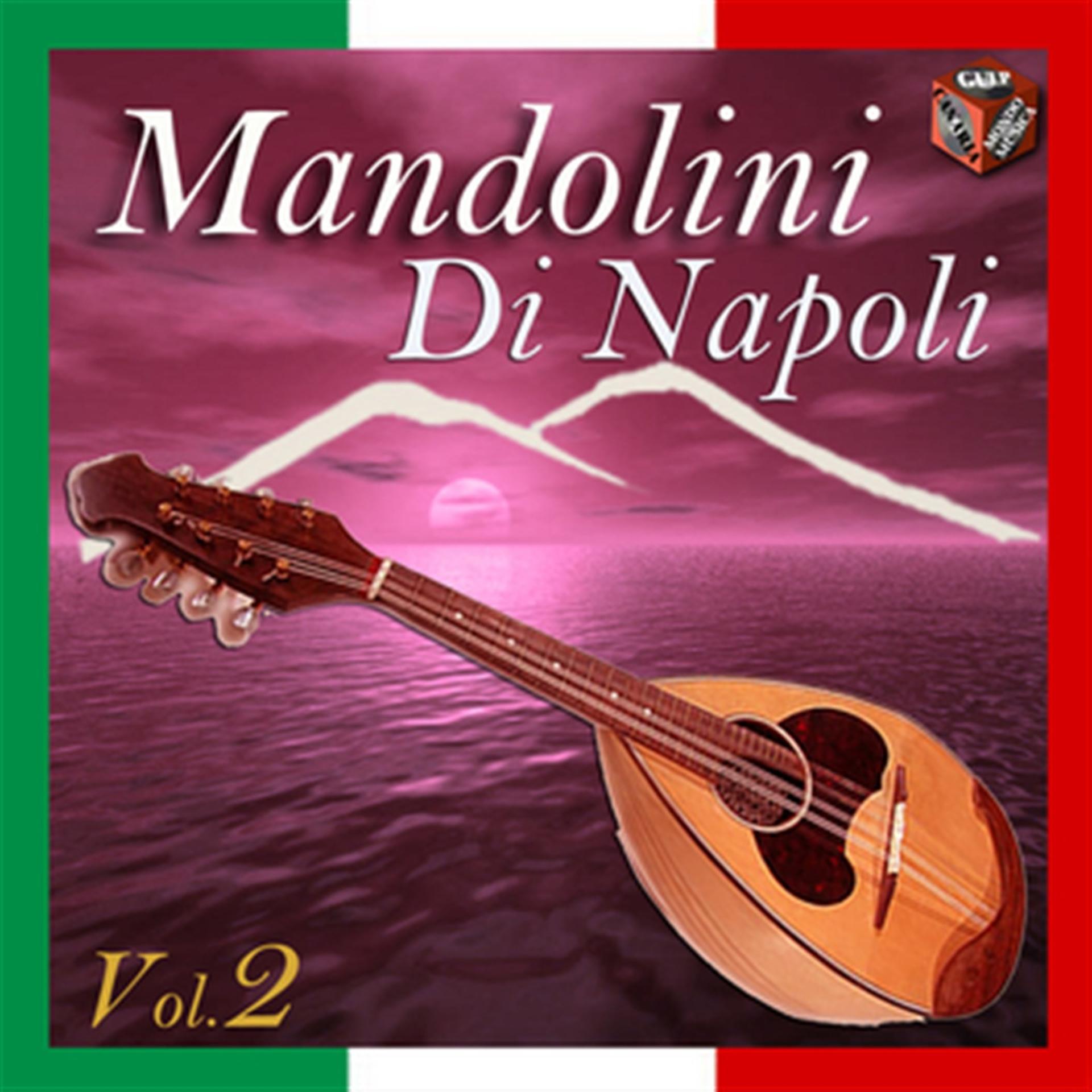 Постер альбома Mandolini di Napoli, Vol. 2