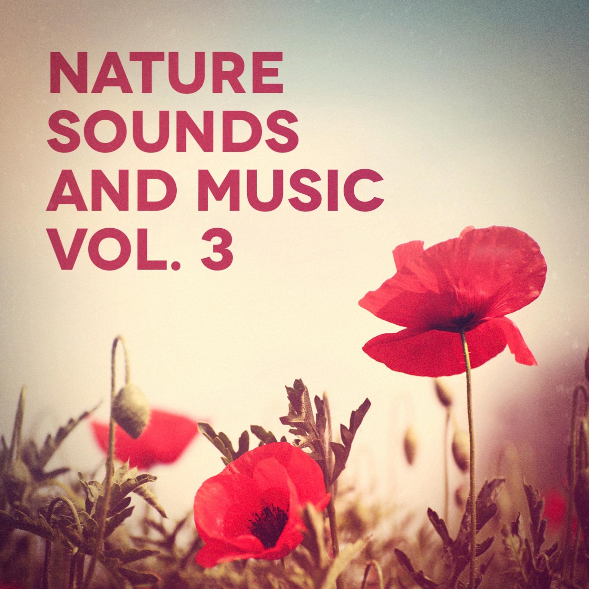 Постер альбома Nature Sounds and Music, Vol. 3