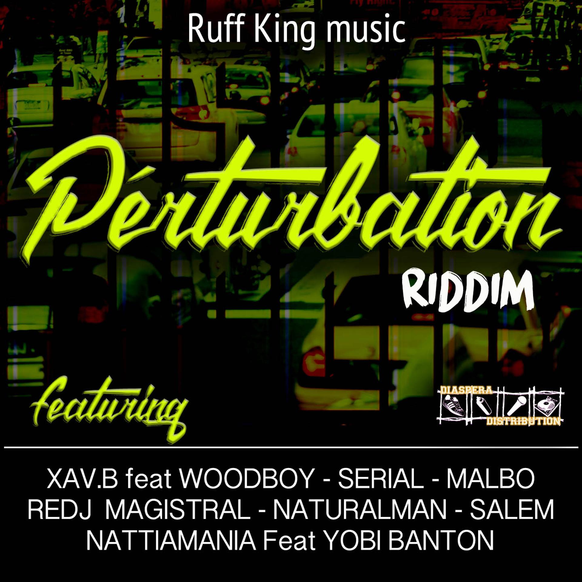 Постер альбома Pertubation Riddim