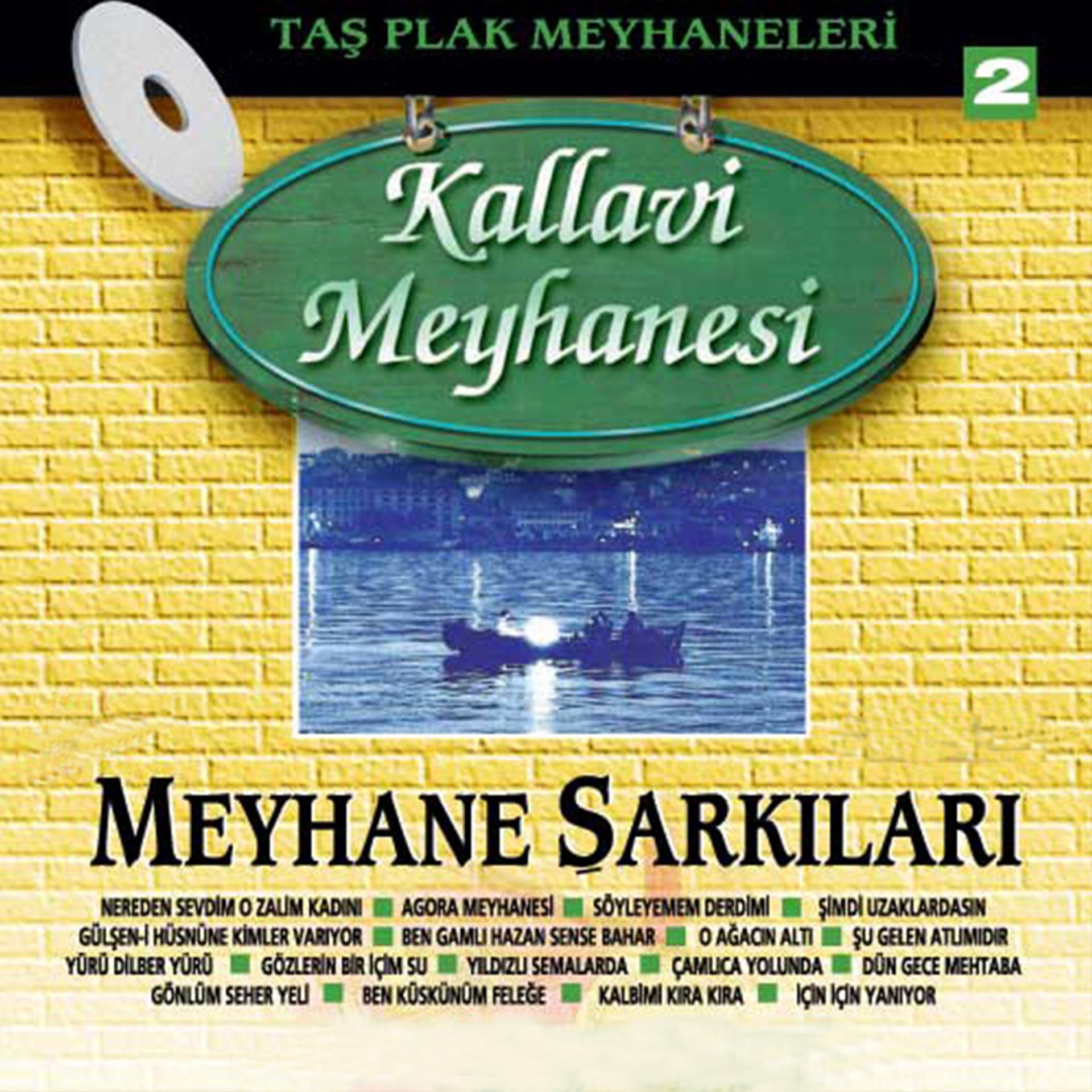 Постер альбома Taş Plak Meyhaneleri, Vol. 2