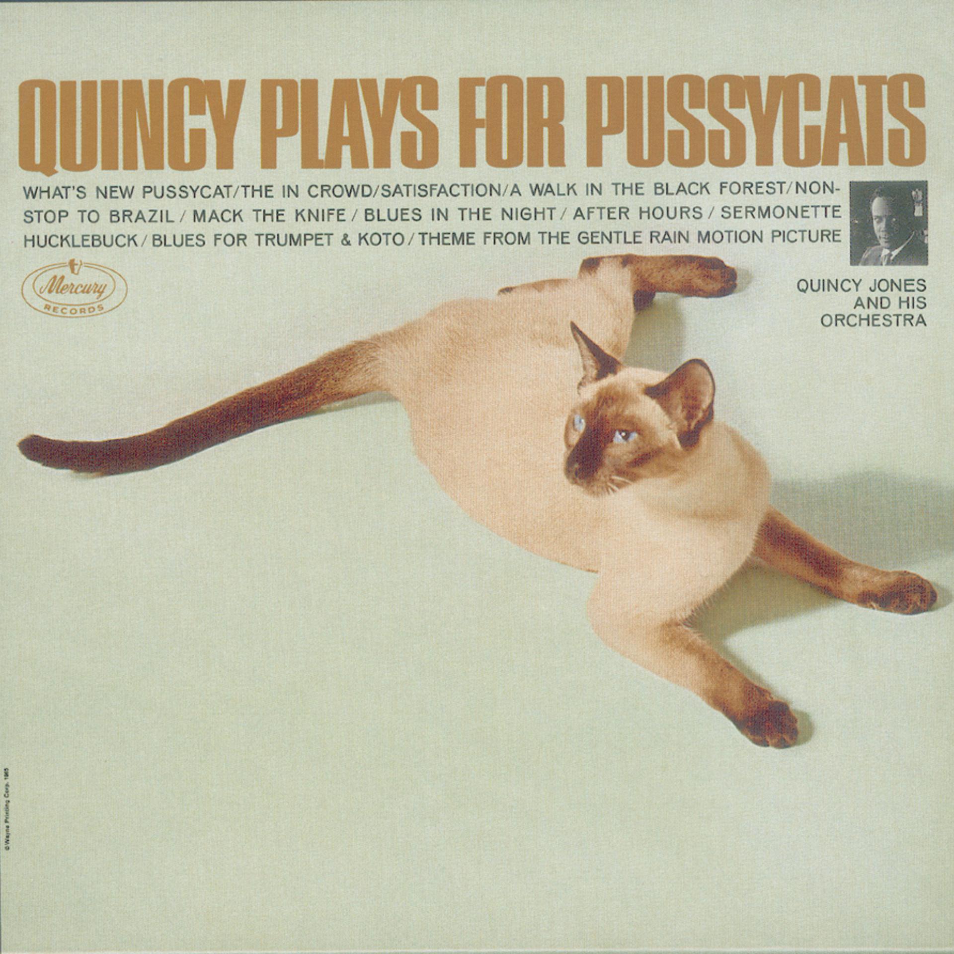 Постер альбома Quincy Plays For Pussycats
