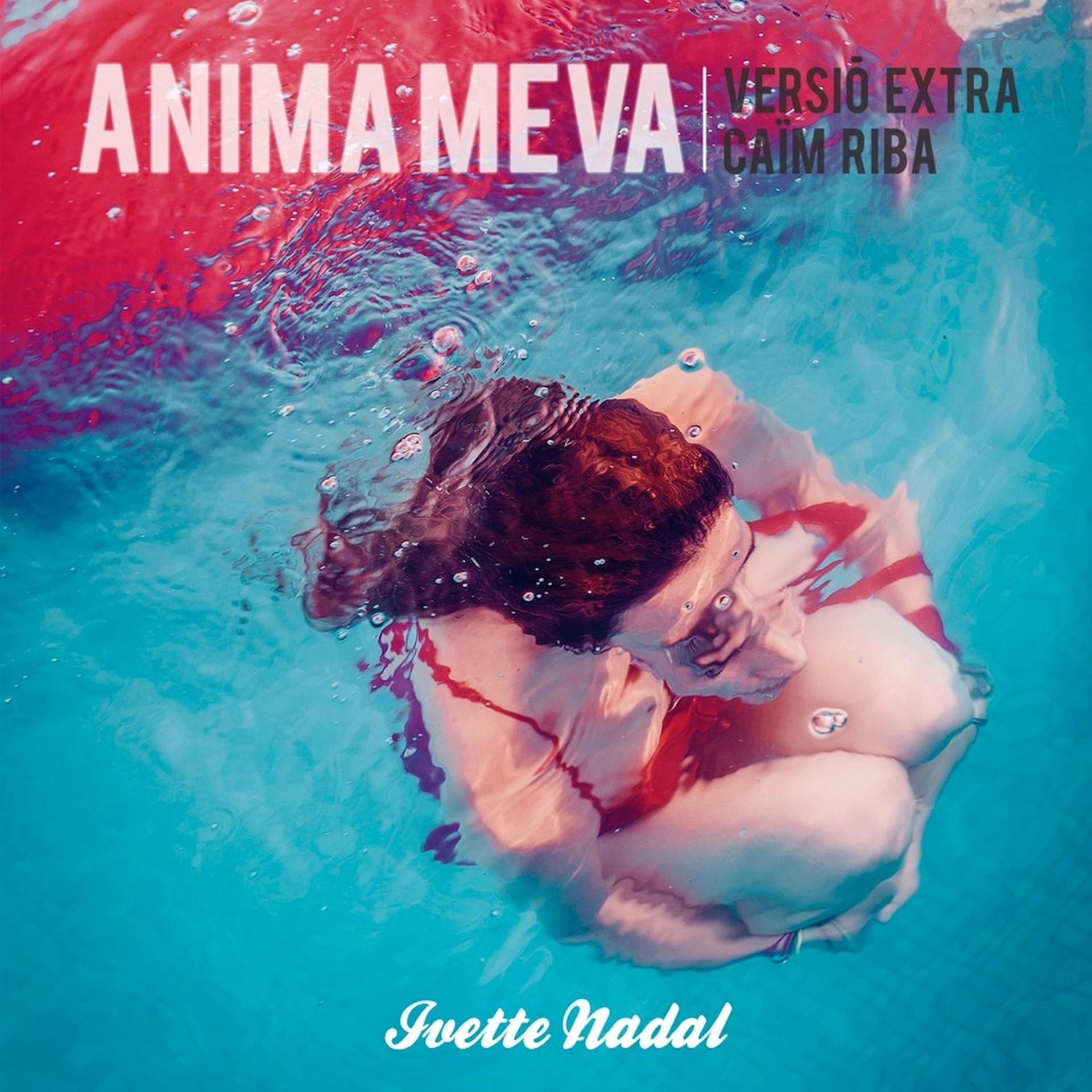 Постер альбома Ànima Meva