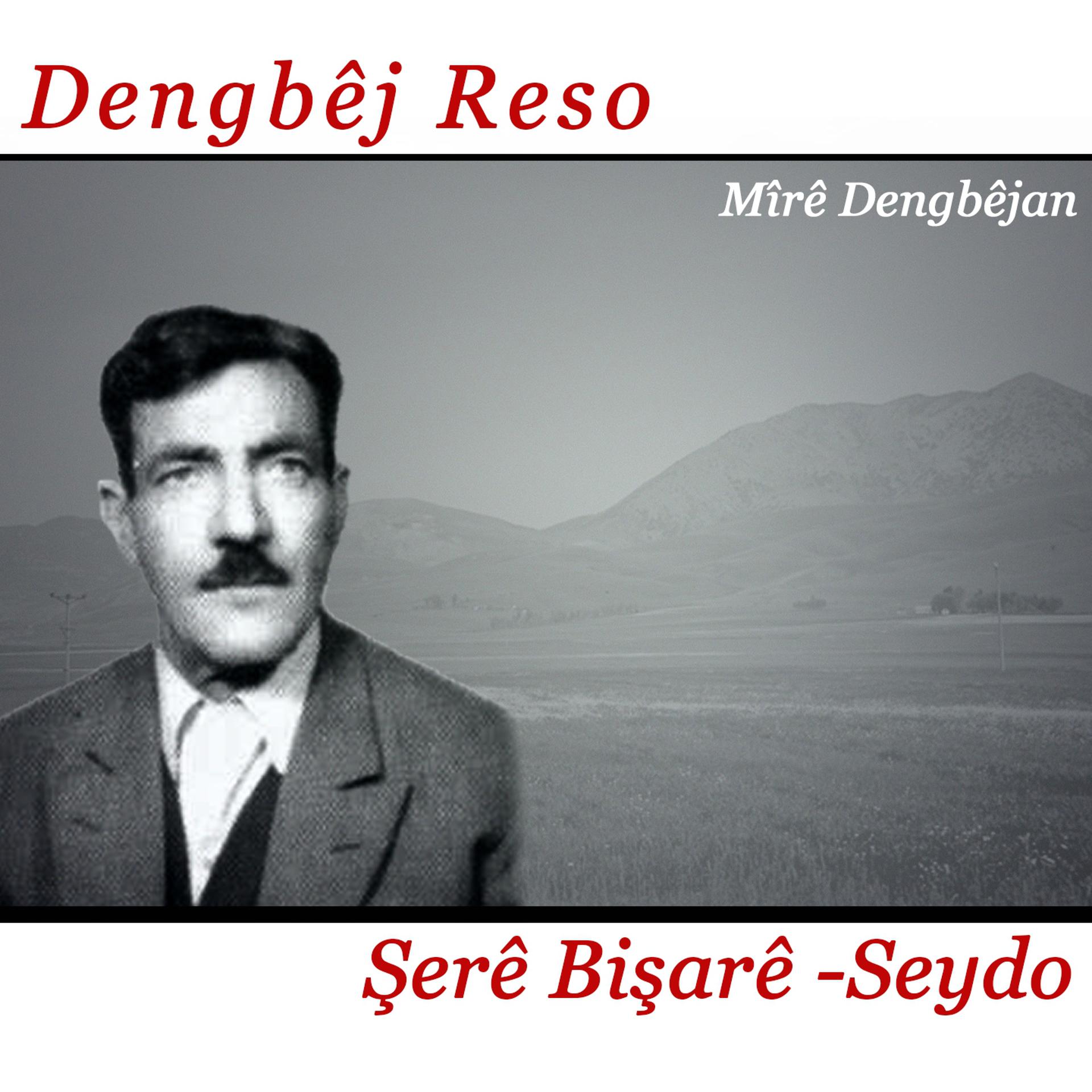 Постер альбома Şerê Bişarê / Seydo