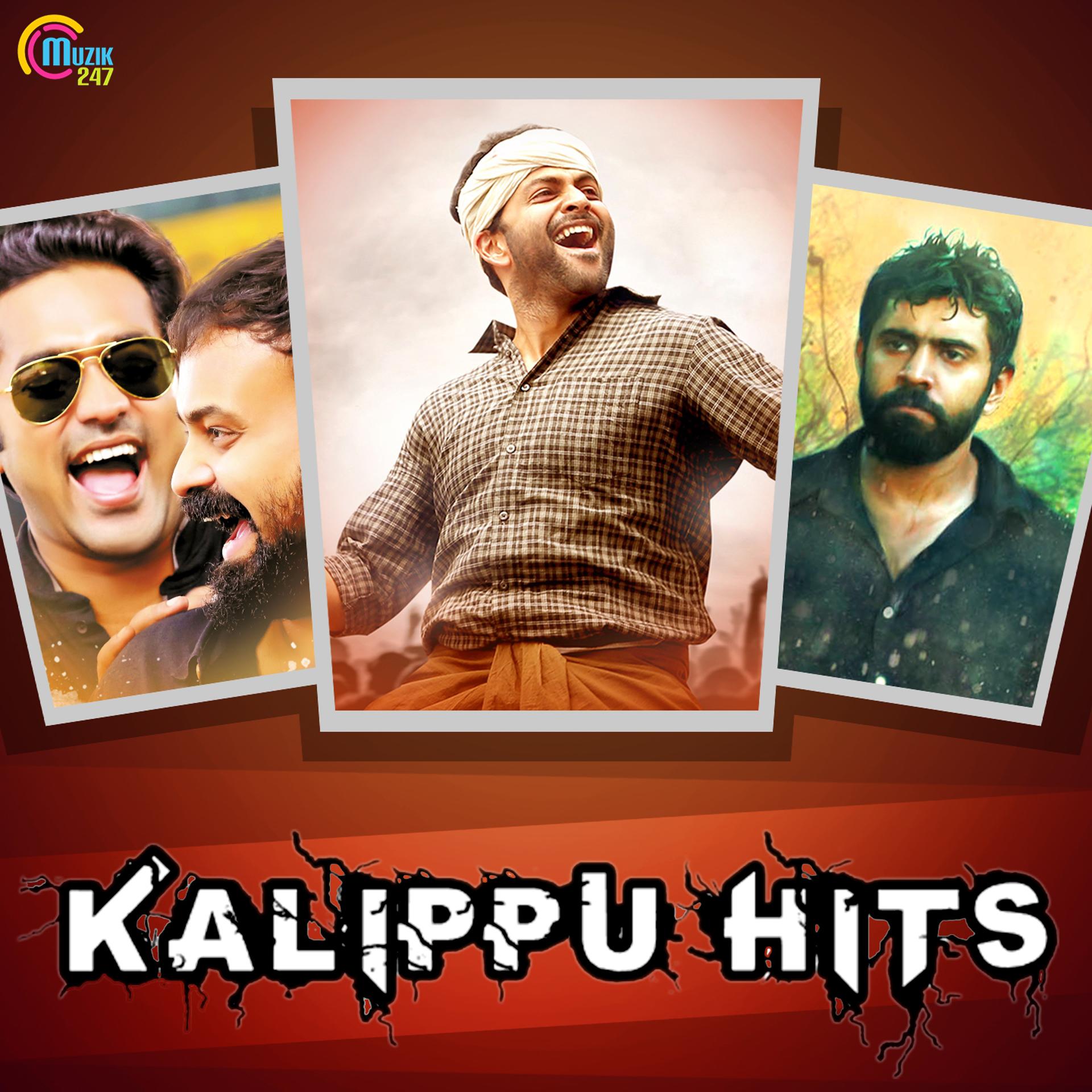 Постер альбома Kalippu Hits