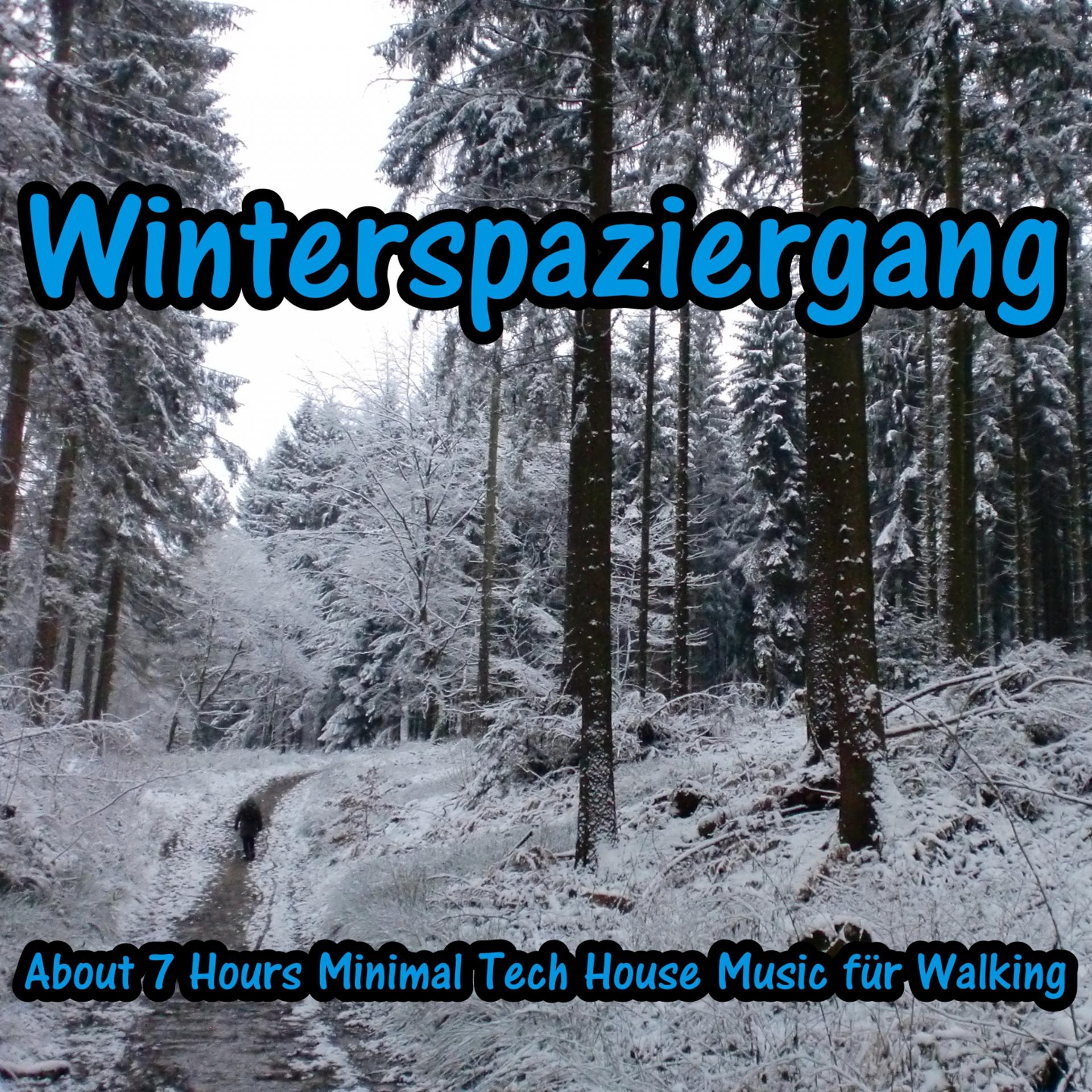 Постер альбома Winterspaziergang (About 7 Hours Minimal Tech House Music für Walking)