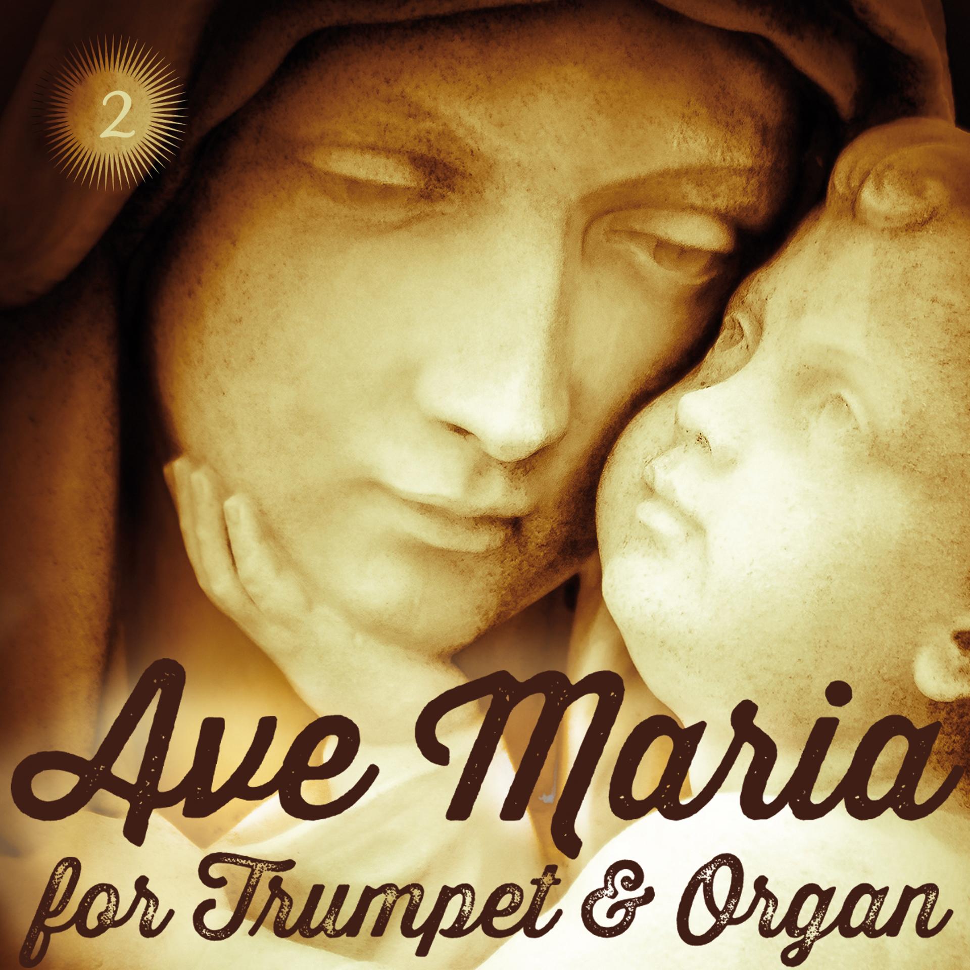 Постер альбома Ave Maria Vol. 2