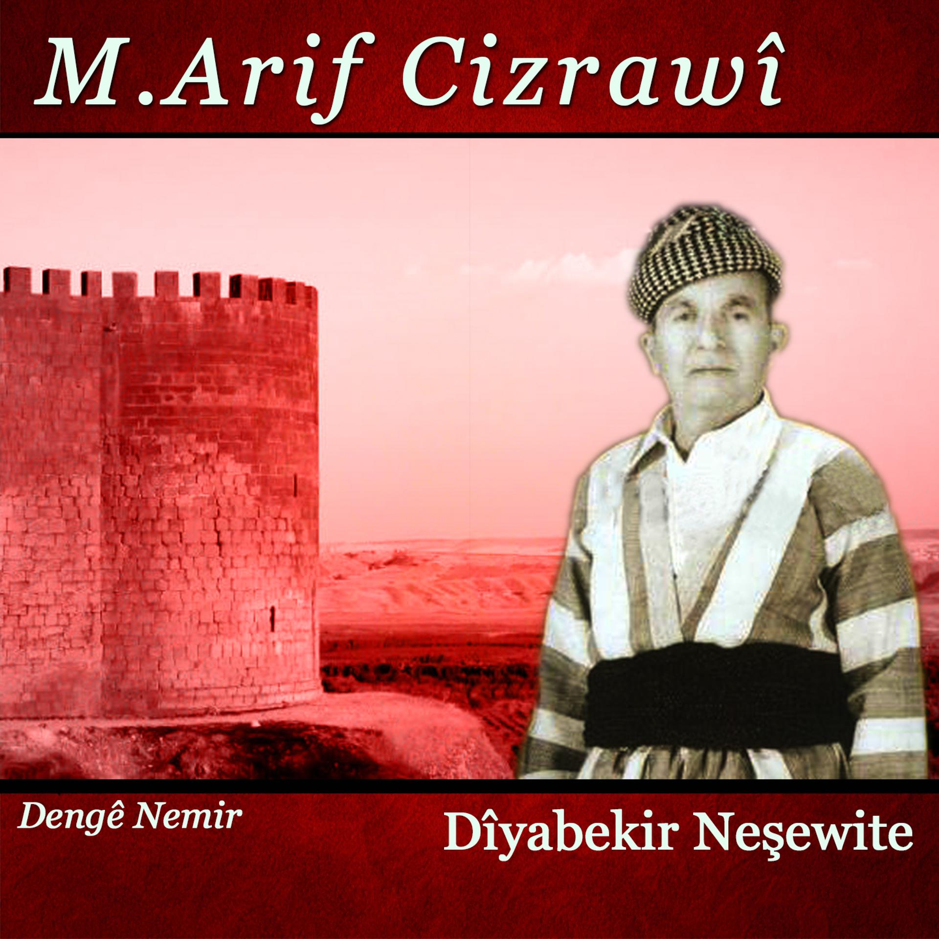 Постер альбома Diyarbekir Neşewite