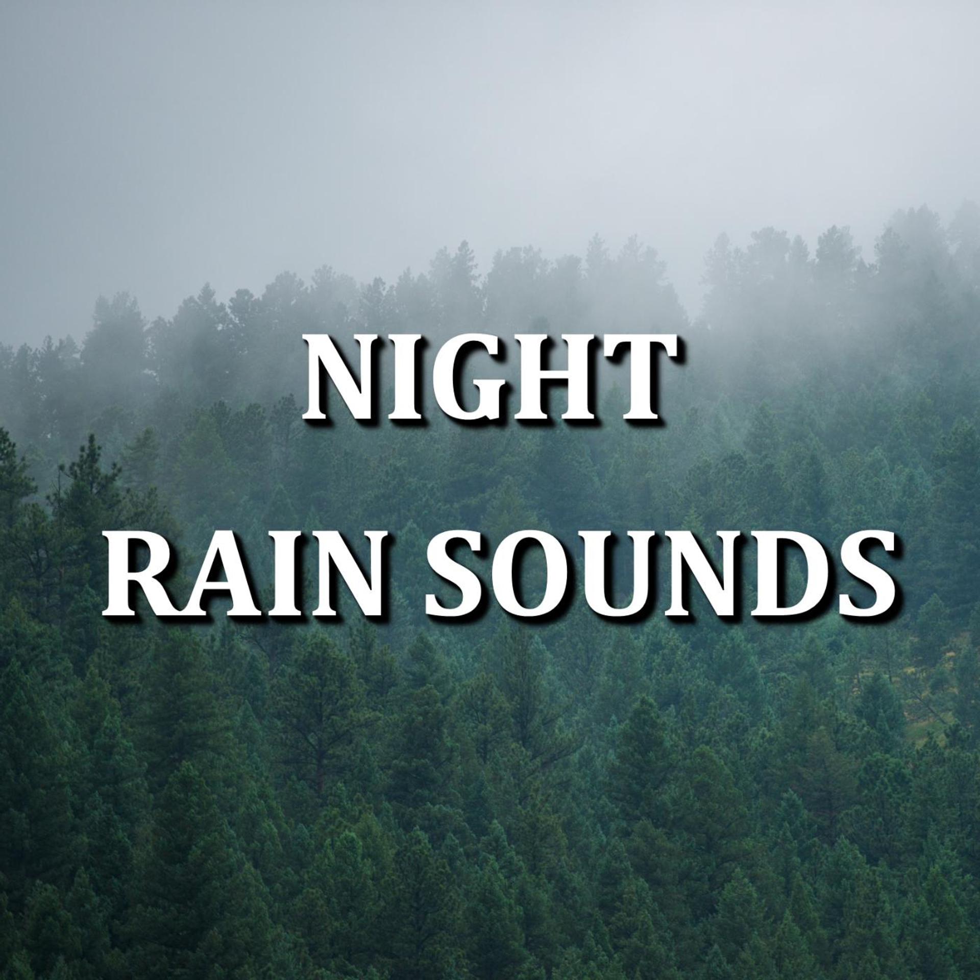 Постер альбома Night Rain Sounds