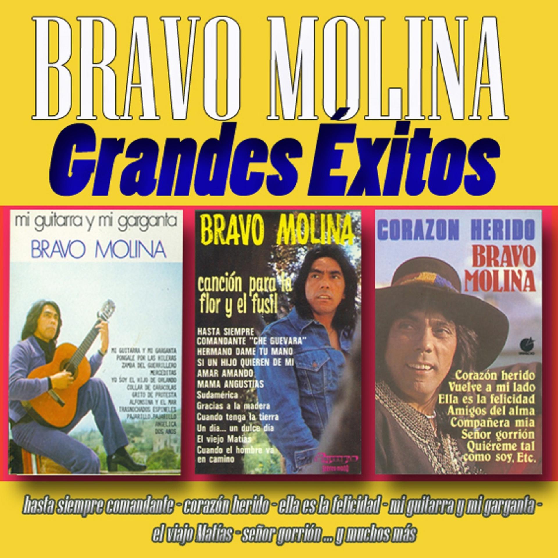 Постер альбома Bravo Molina: Grandes Éxitos