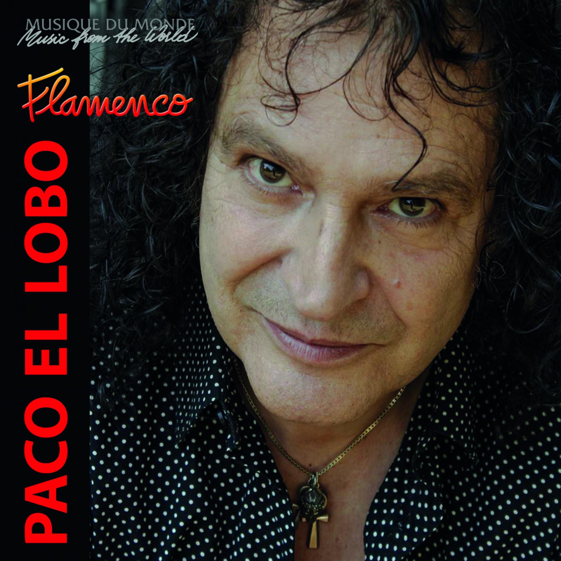 Постер альбома Flamenco