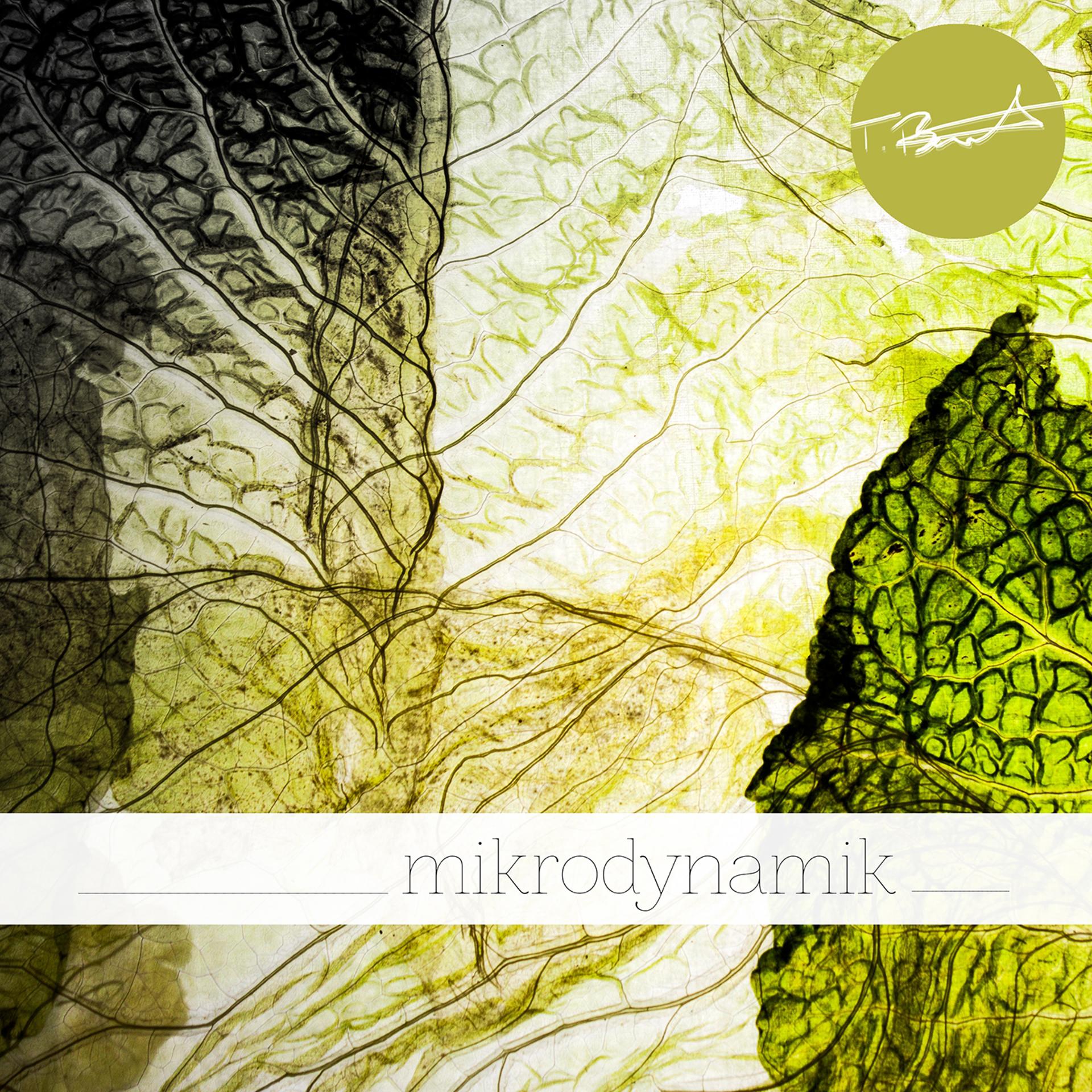 Постер альбома Mikrodynamik