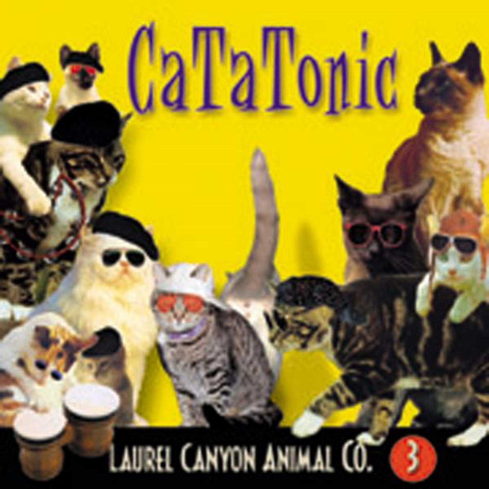 Постер альбома Cat-A-Tonic