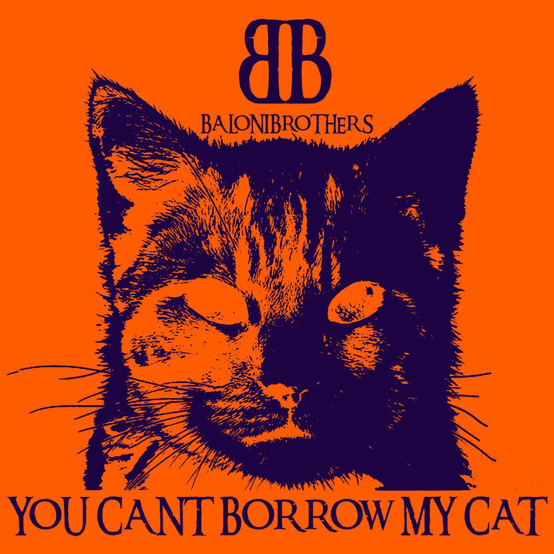 Постер альбома You Can't Borrow My Cat