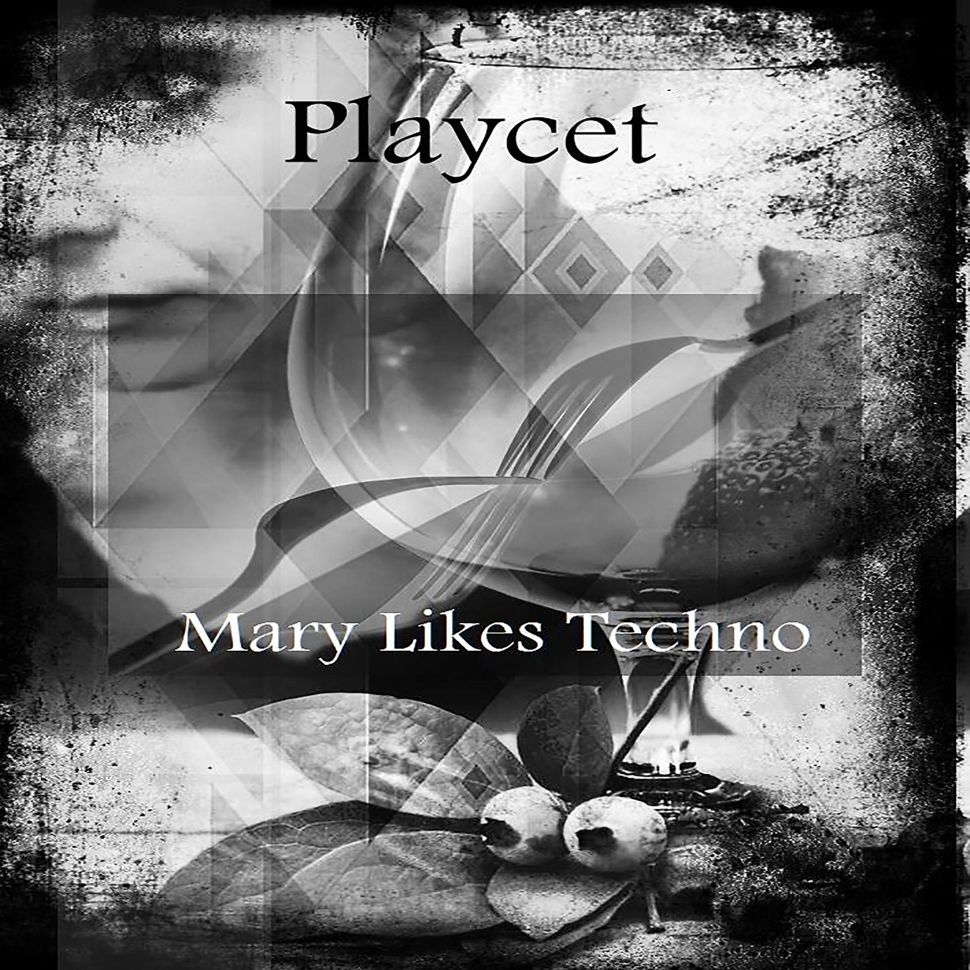 Постер альбома Mary Likes Techno