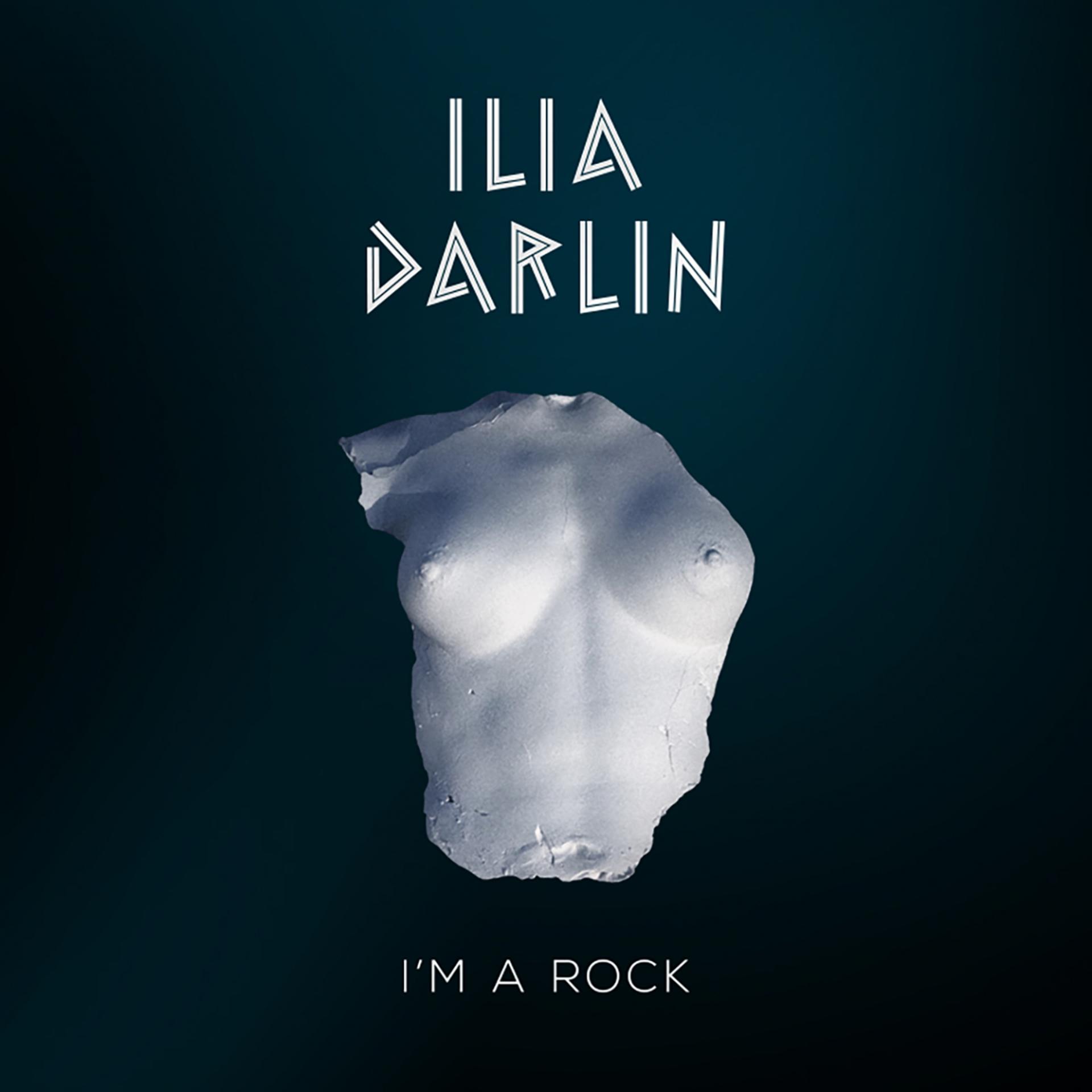 Постер альбома I'm a Rock