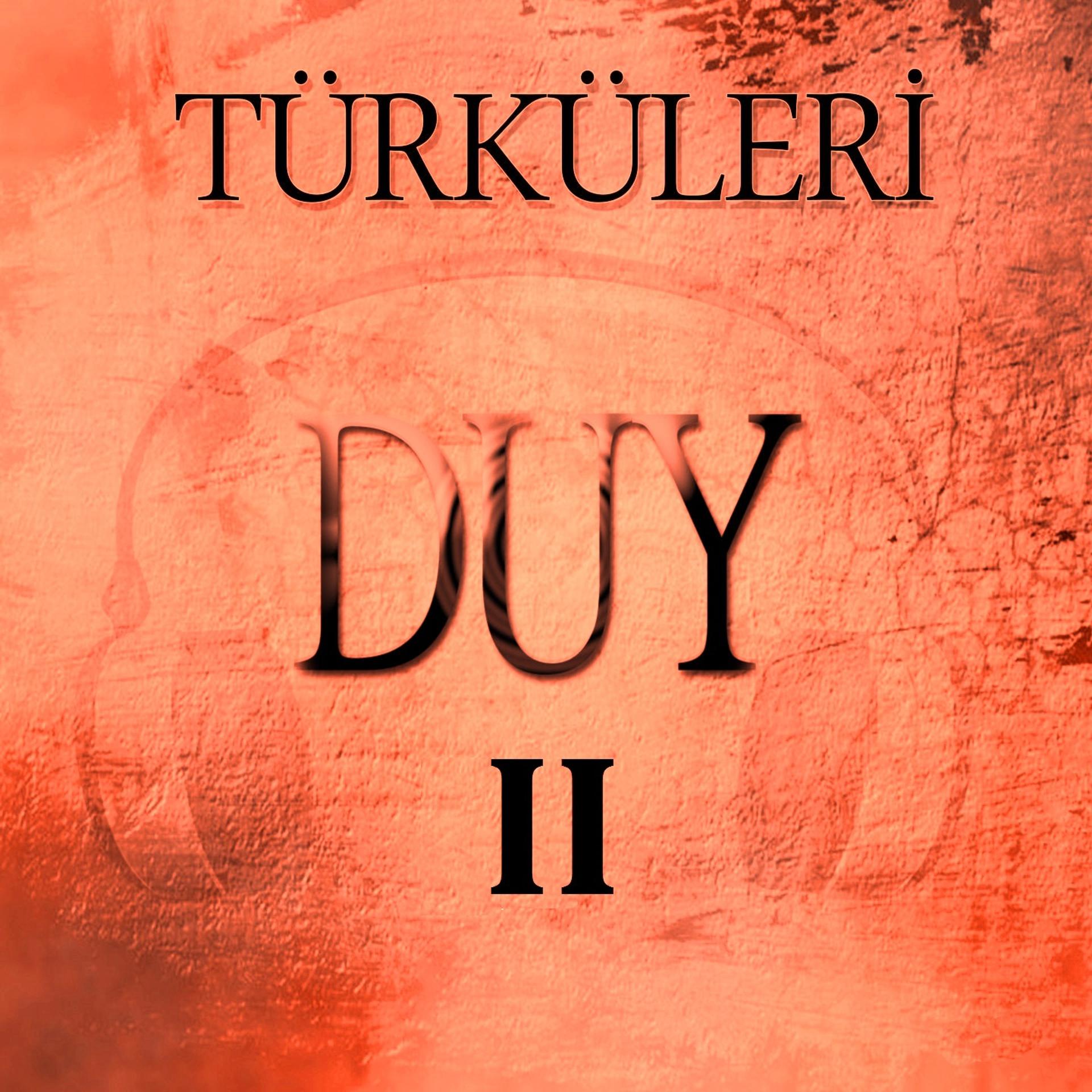 Постер альбома Türküleri Duy, Vol. 2