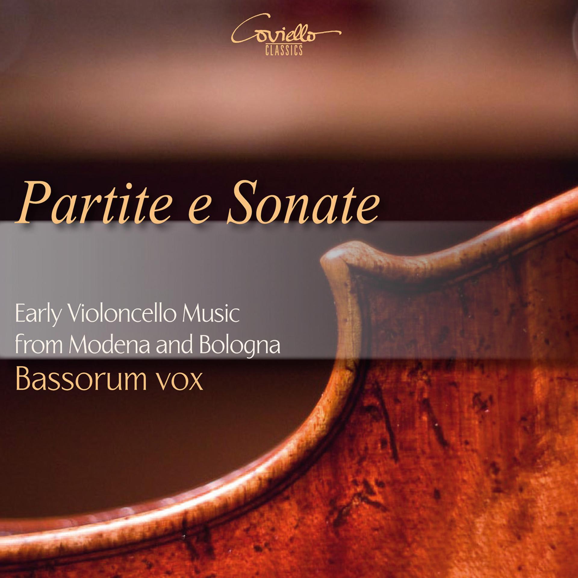 Постер альбома Partite e sonate